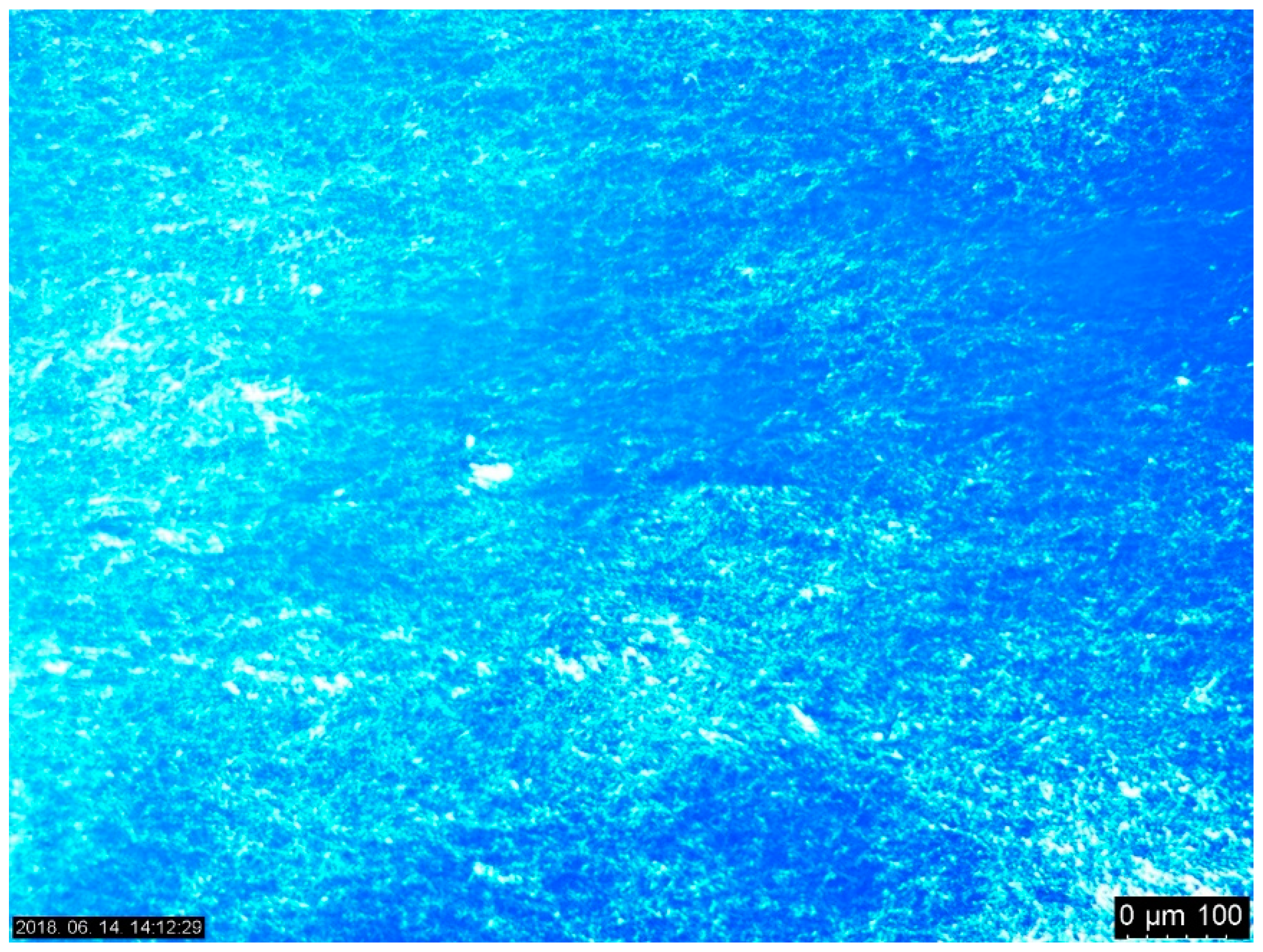 Pharmaceutics 11 00310 g002