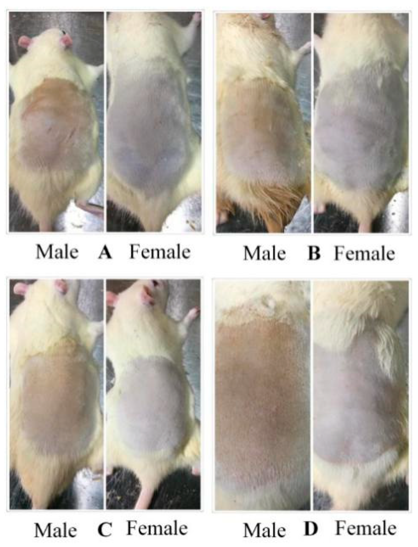 Pharmaceutics 11 00311 g003