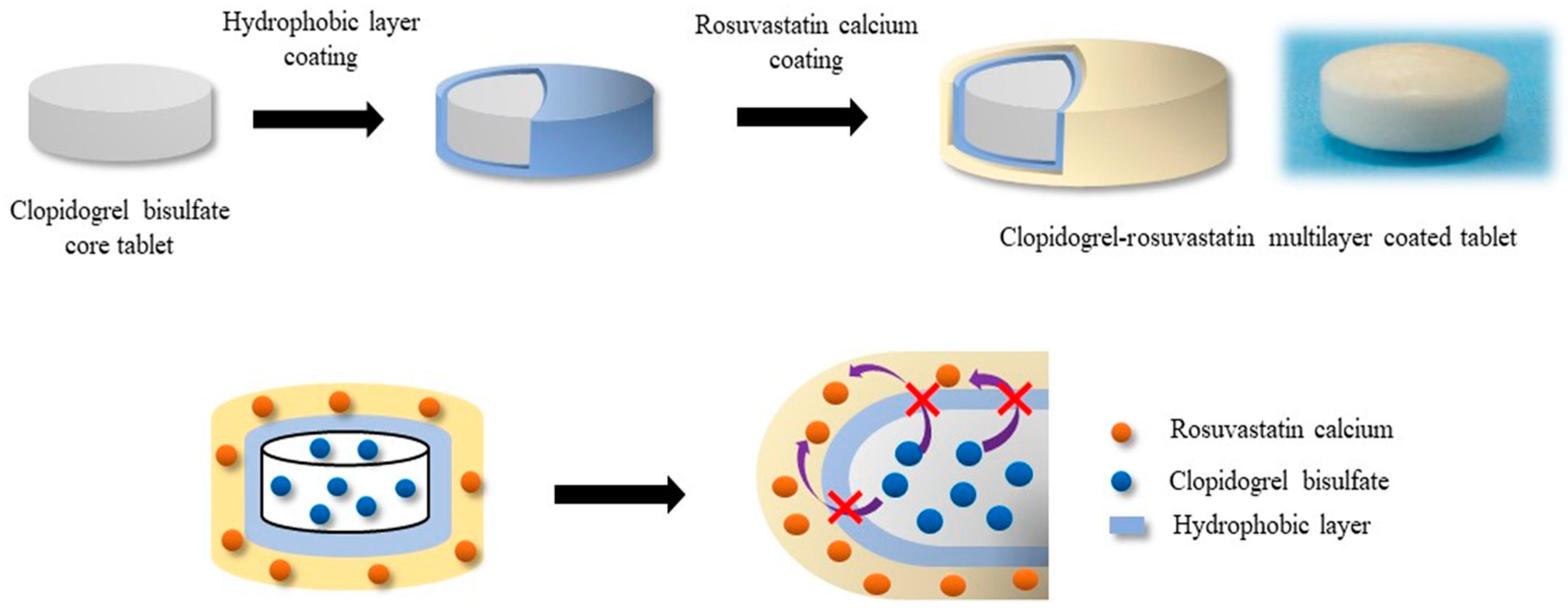 Pharmaceutics 11 00313 g002