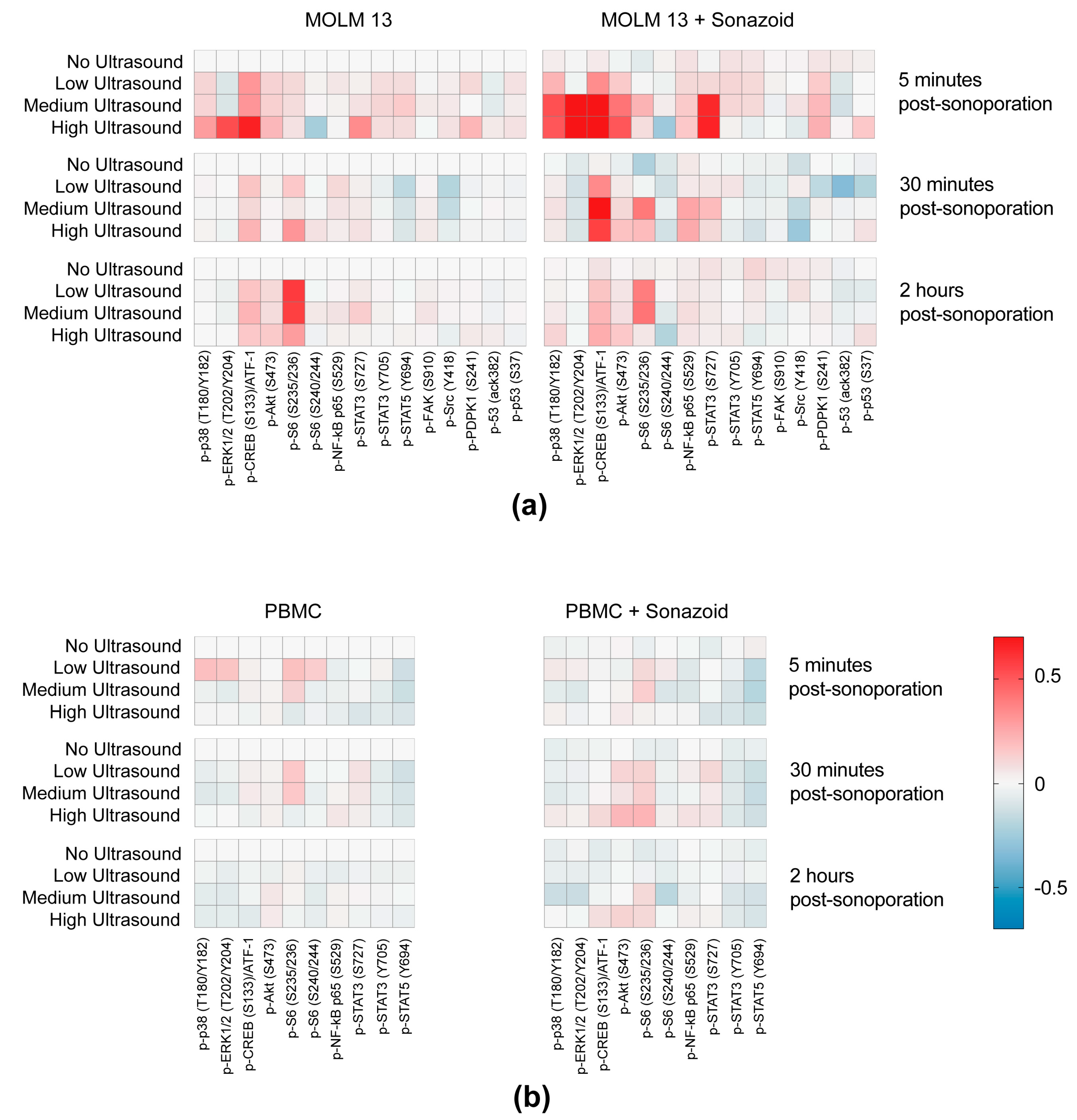 Pharmaceutics 11 00319 g005