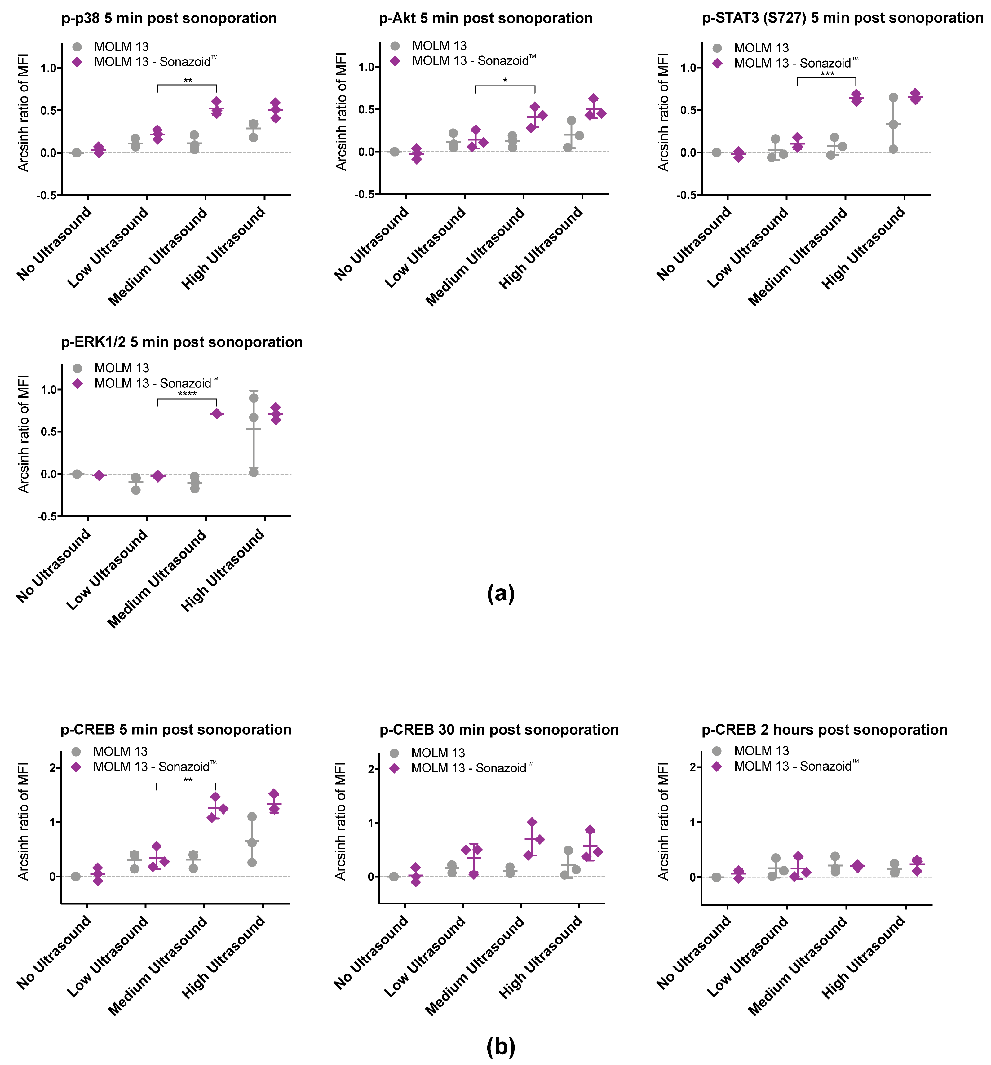 Pharmaceutics 11 00319 g006