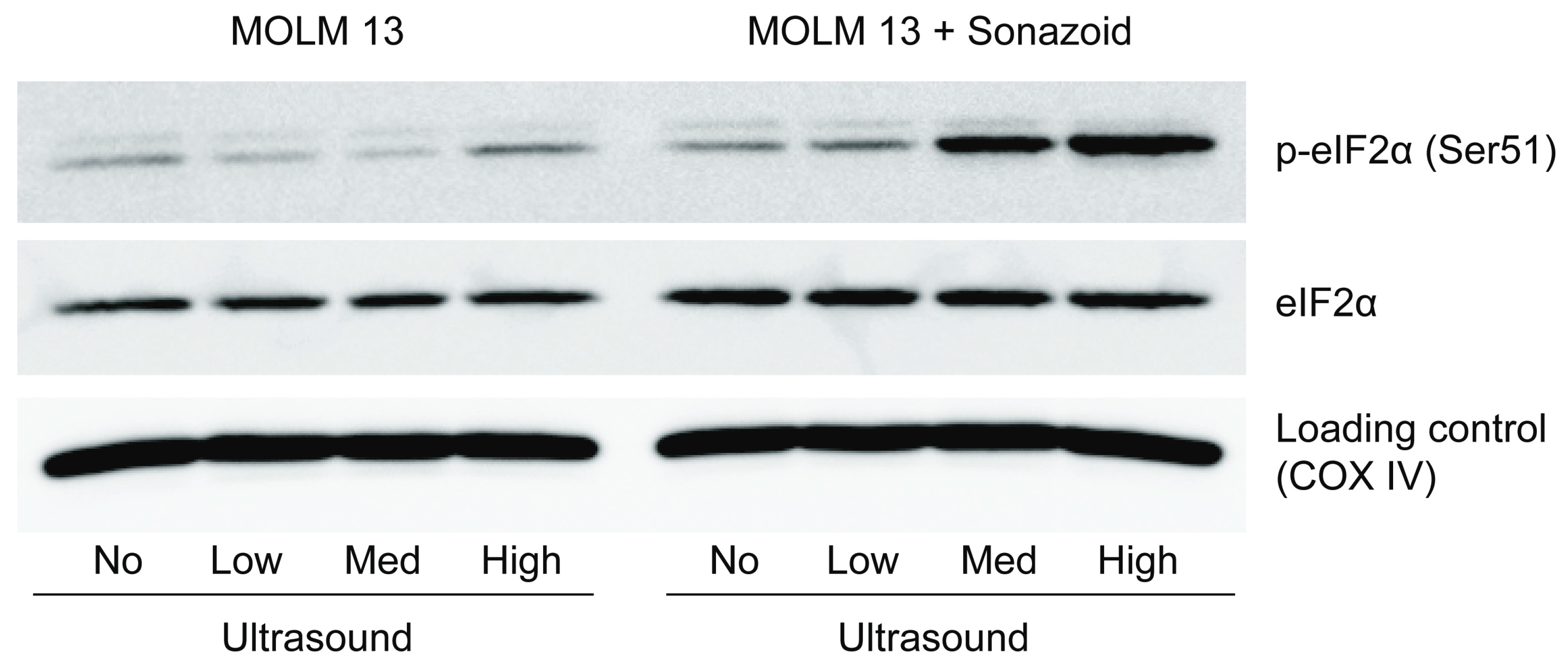 Pharmaceutics 11 00319 g008