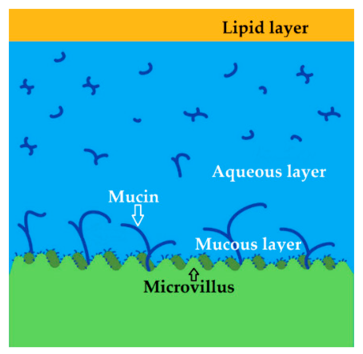Pharmaceutics 11 00321 g002 Pharmaceutics 11 00321 g002
