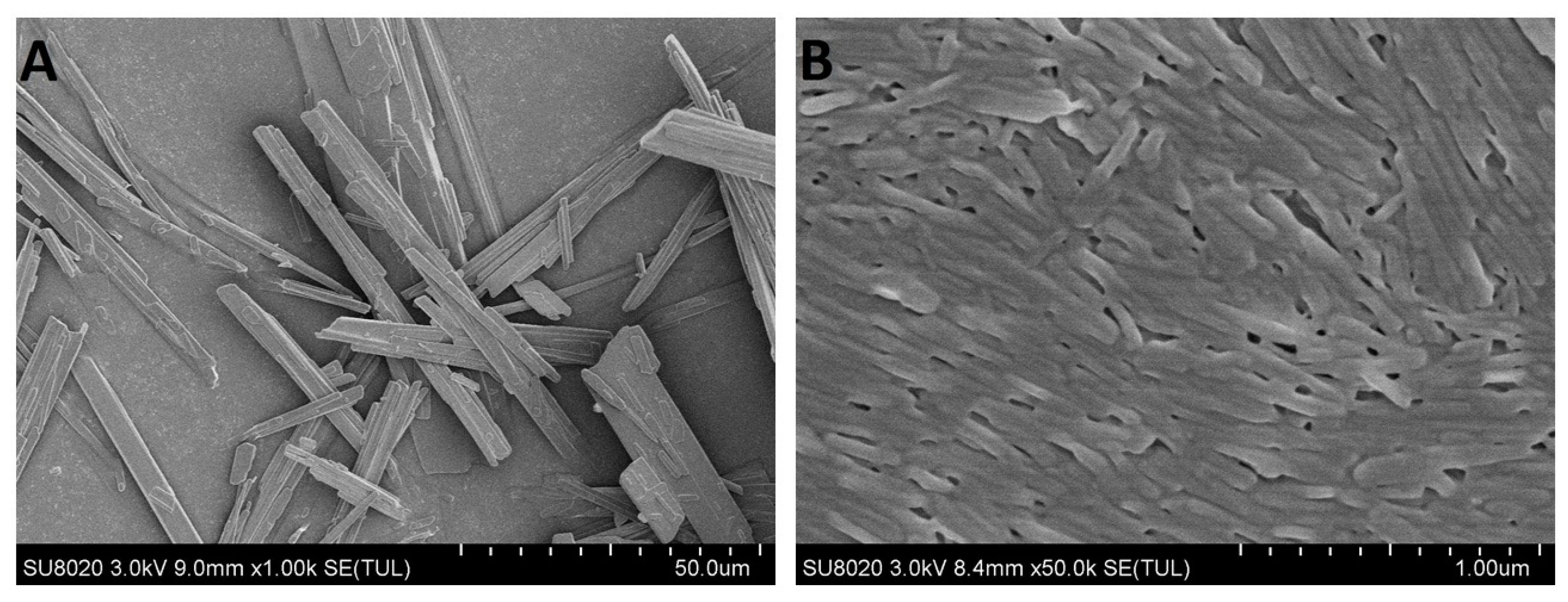 Pharmaceutics 11 00328 g004