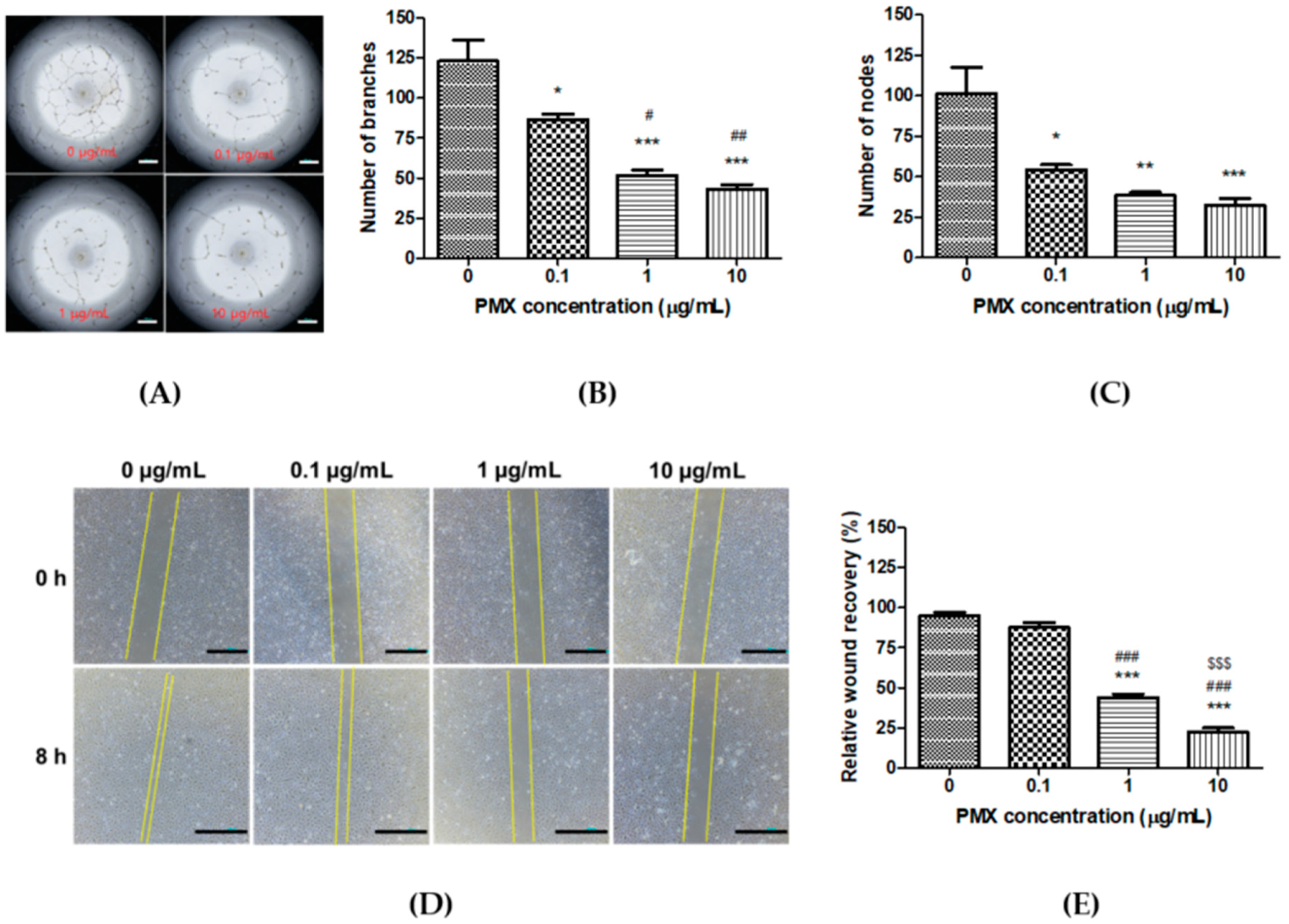 Pharmaceutics 11 00332 g002