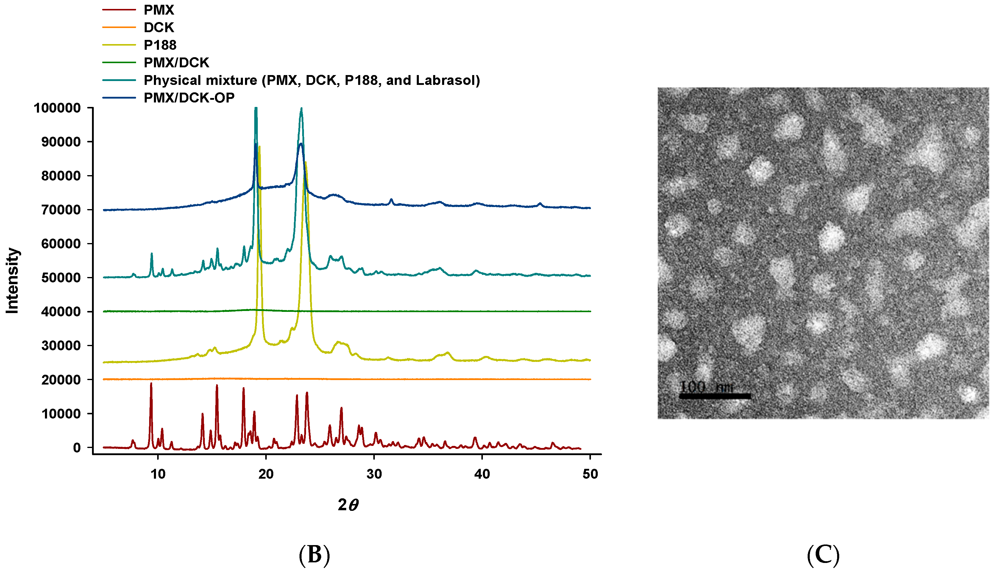 Pharmaceutics 11 00332 g003b