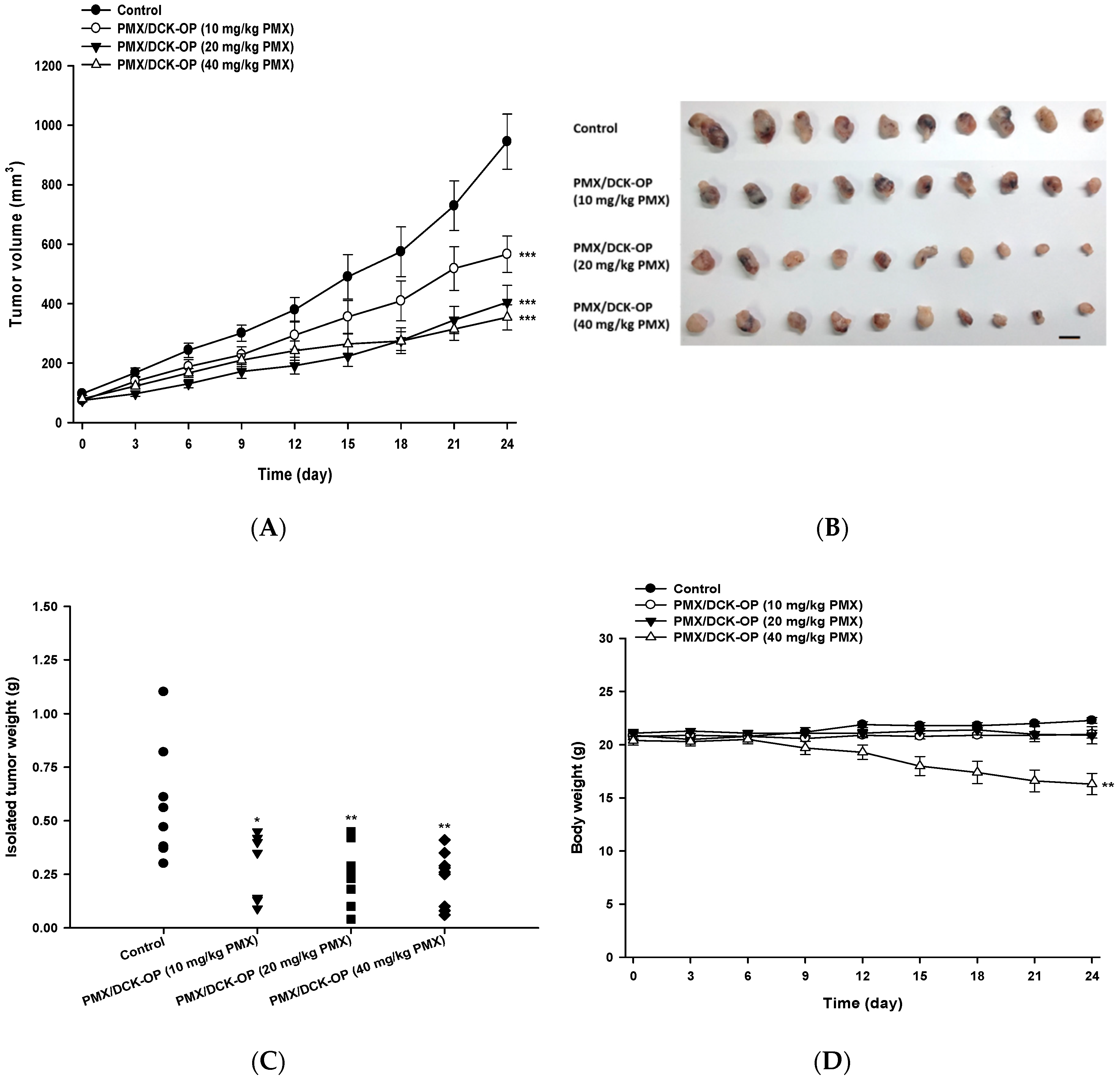 Pharmaceutics 11 00332 g006