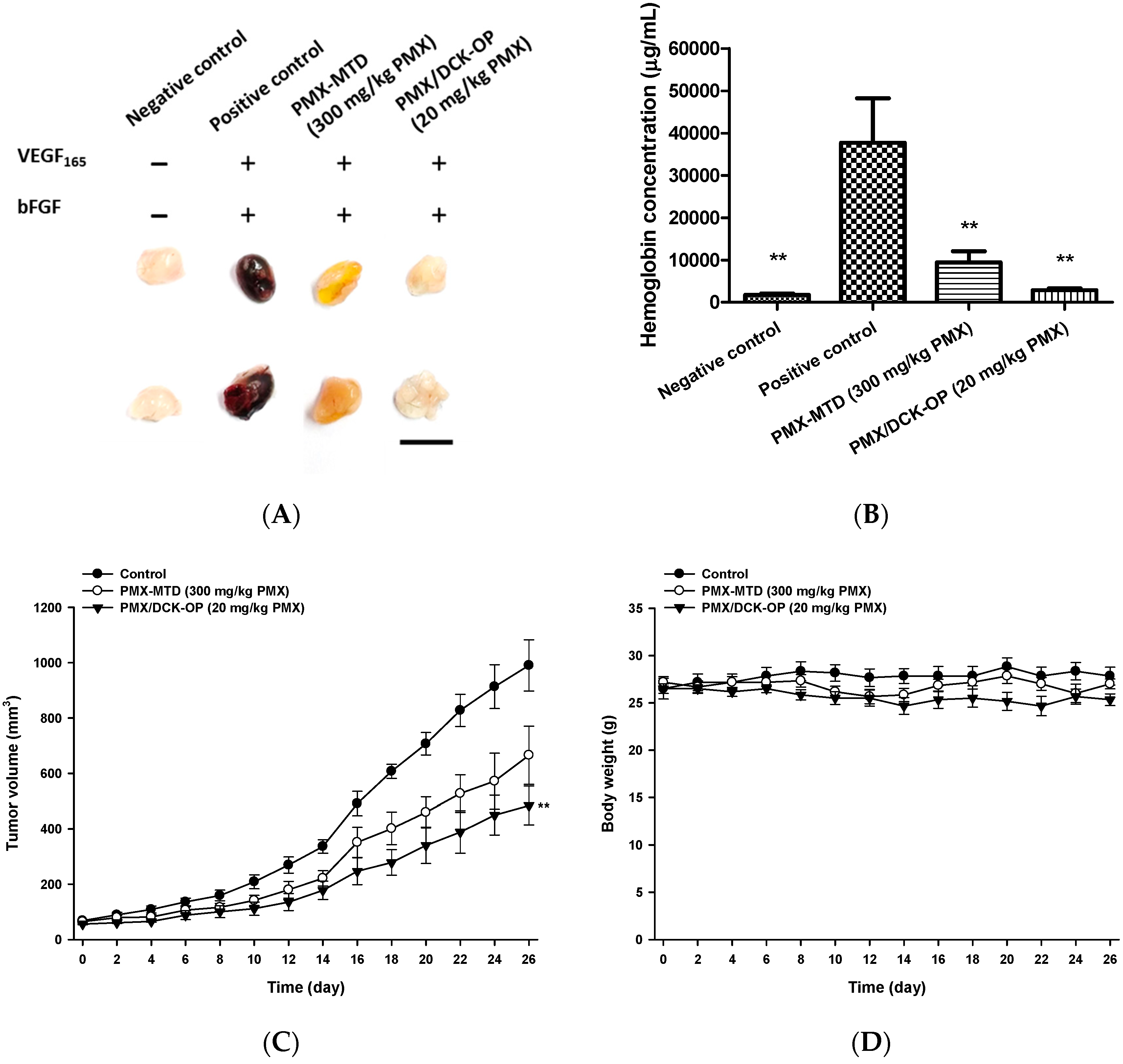 Pharmaceutics 11 00332 g007