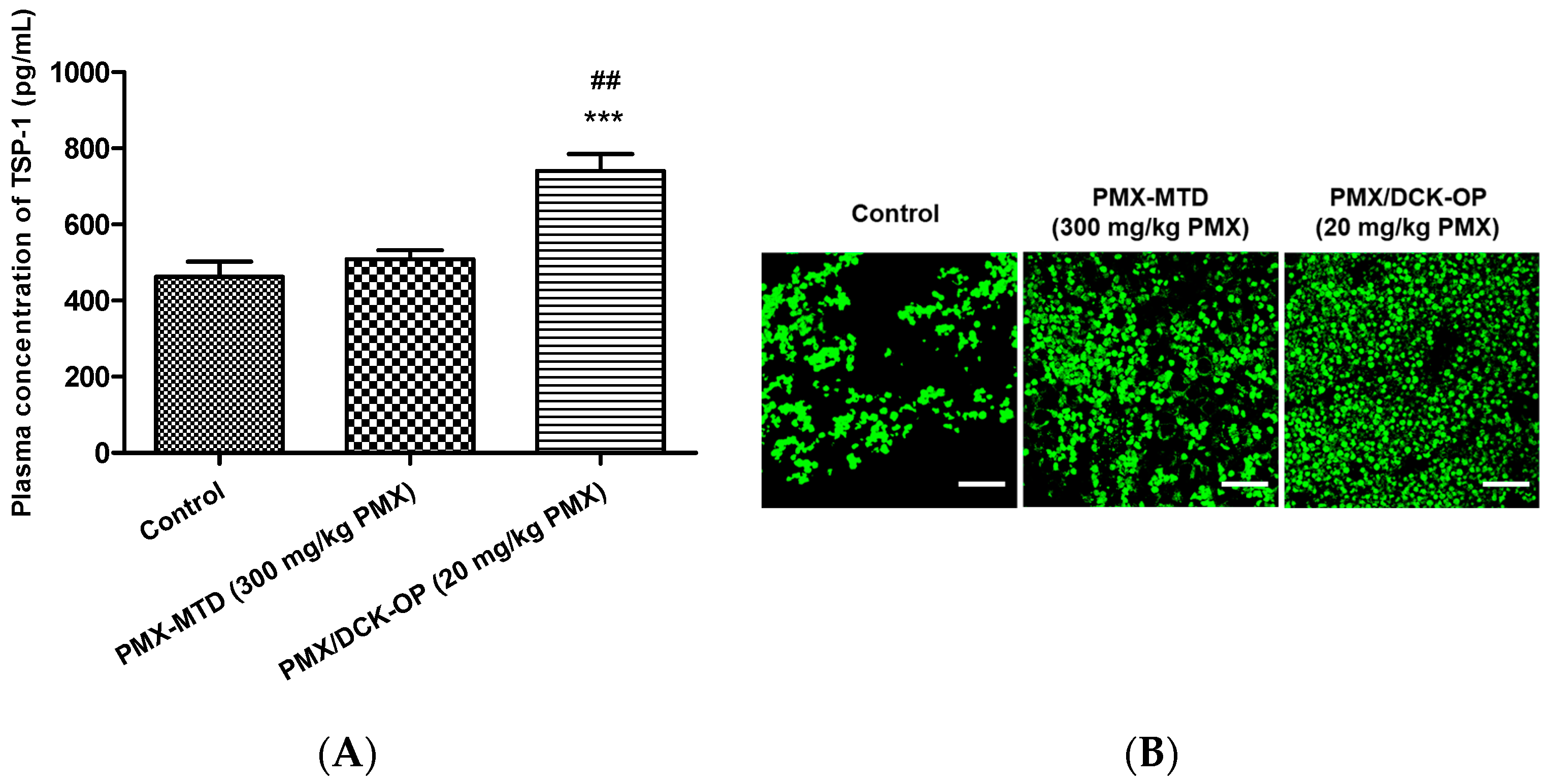 Pharmaceutics 11 00332 g008a