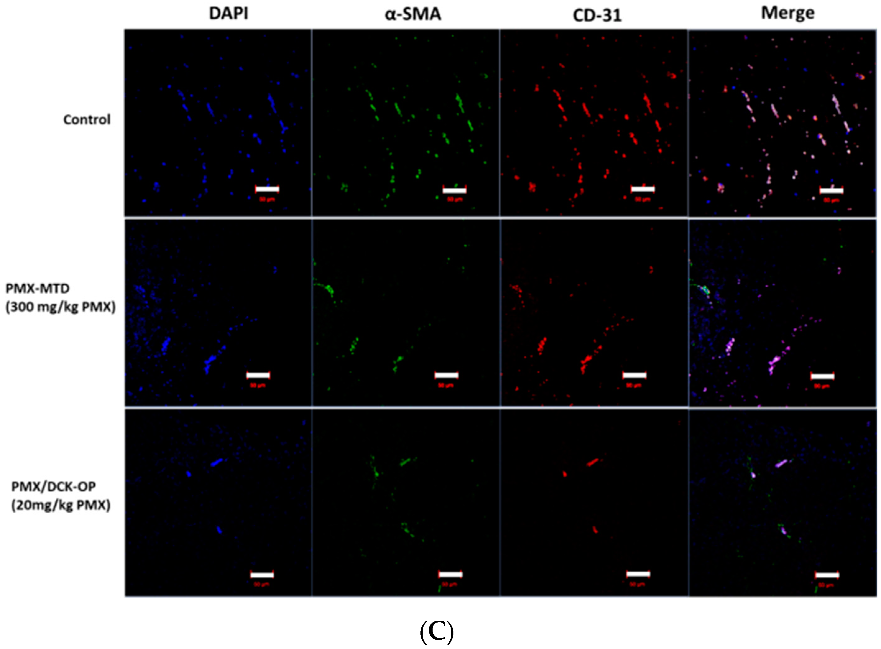 Pharmaceutics 11 00332 g008b