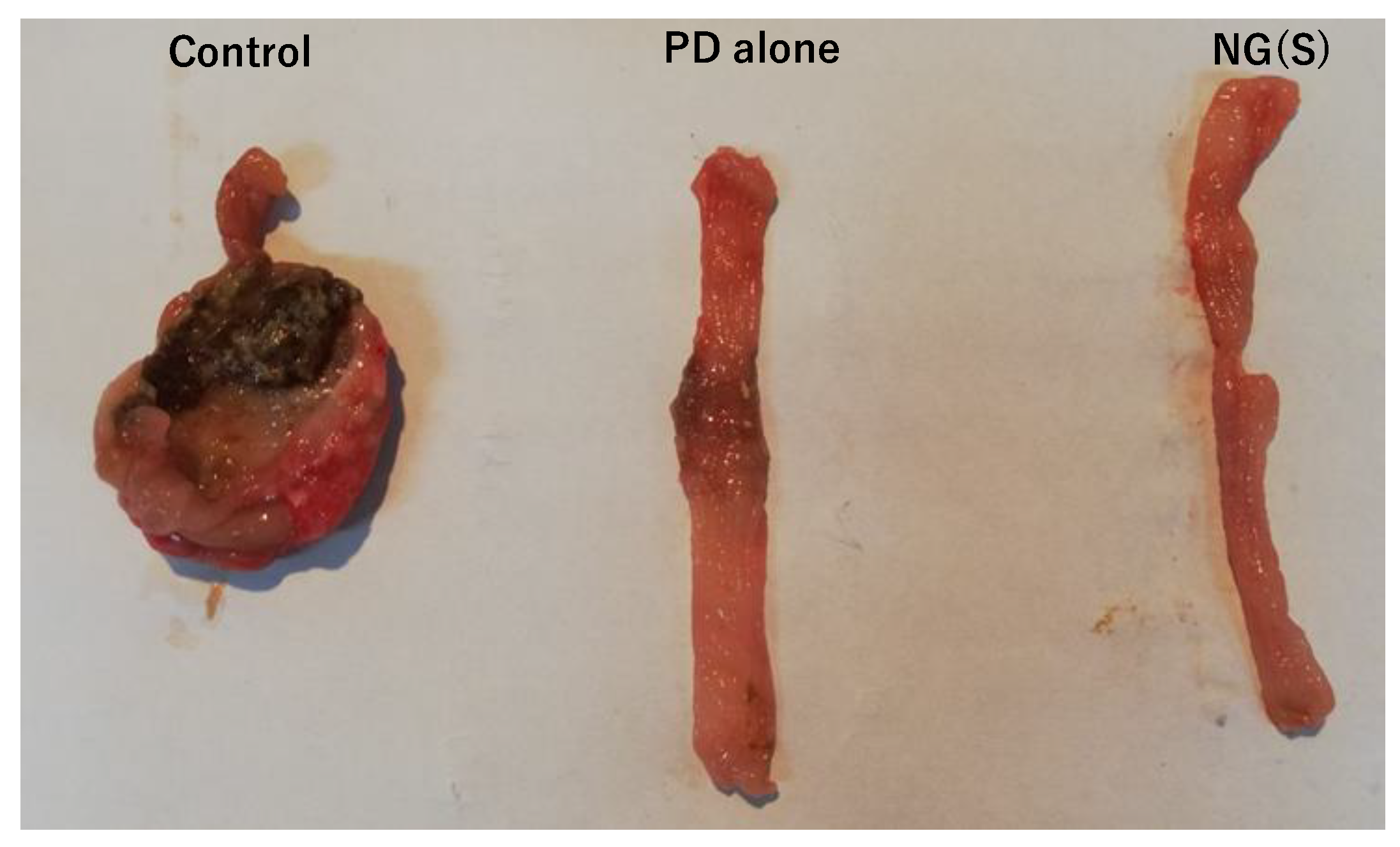 Pharmaceutics 11 00333 g012