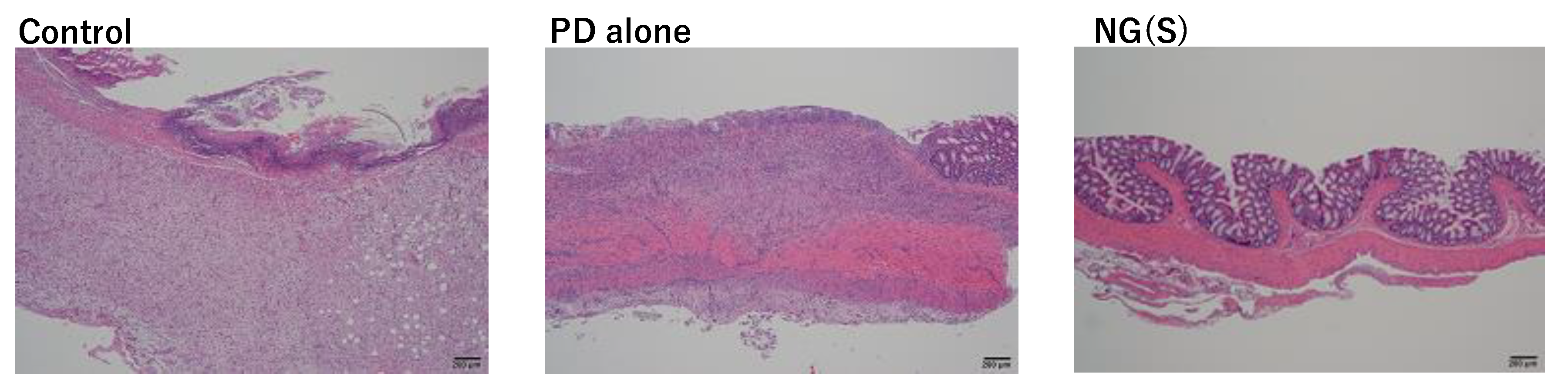 Pharmaceutics 11 00333 g013