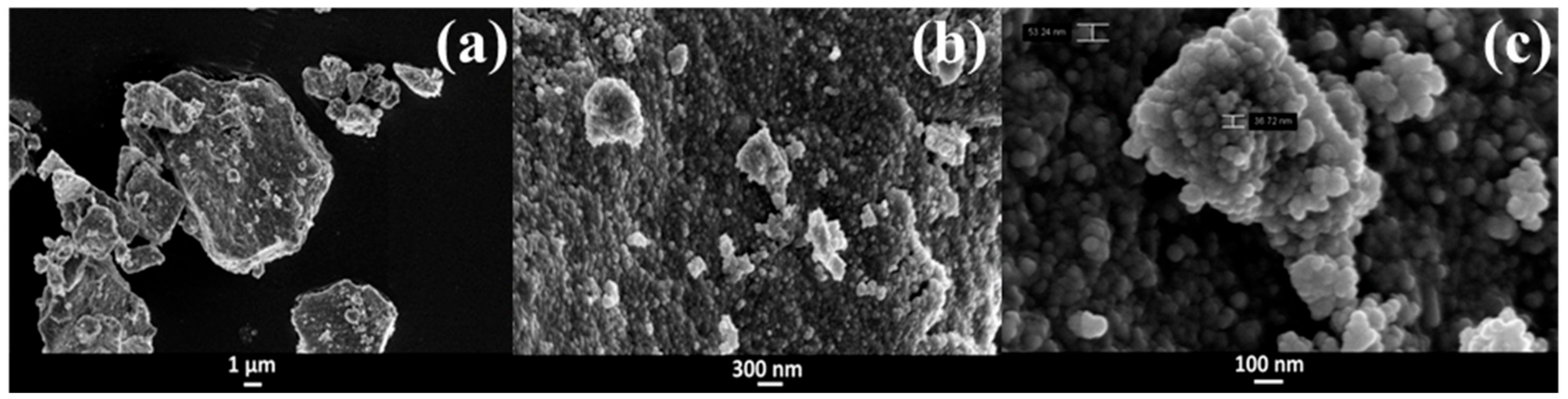 Pharmaceutics 11 00340 g003