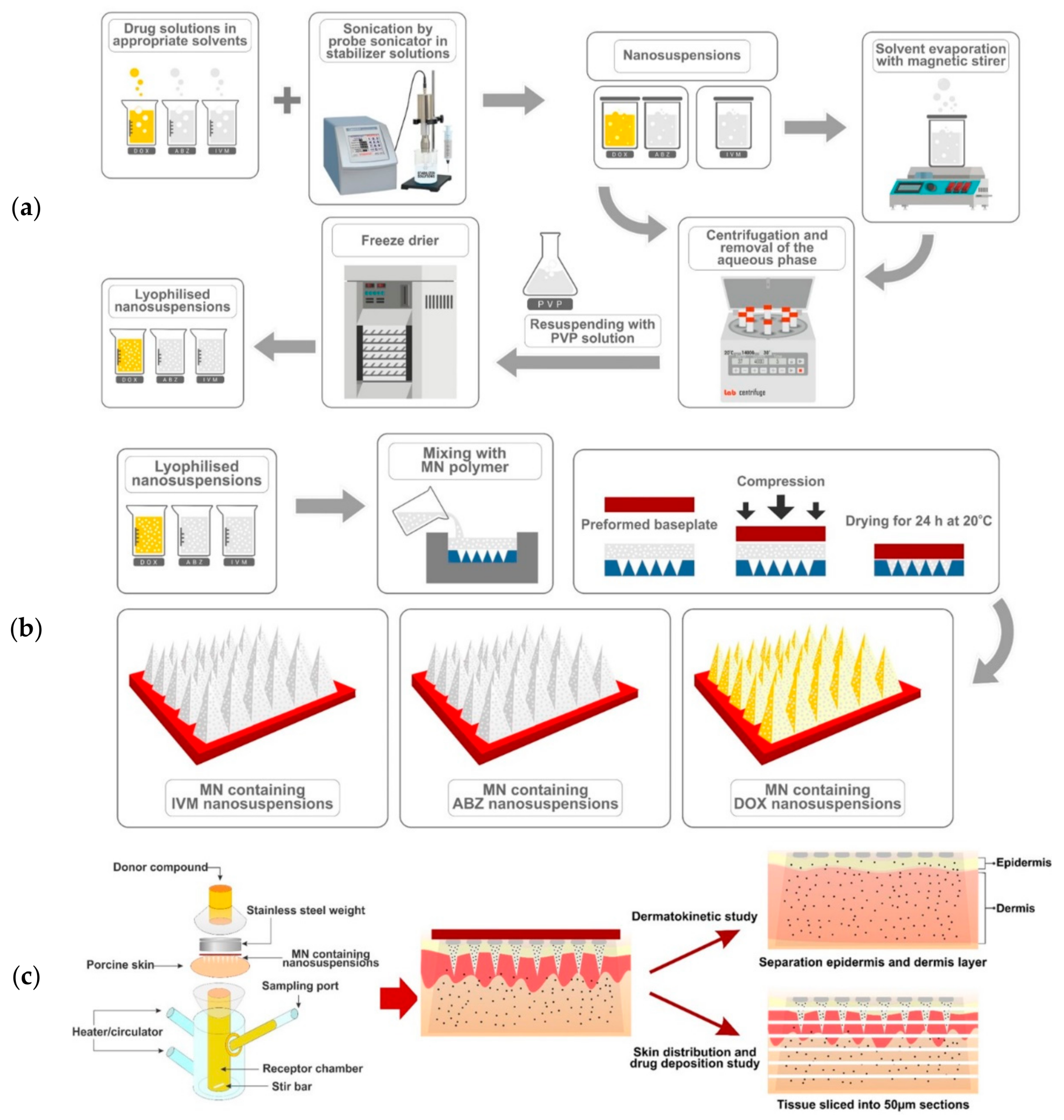 Pharmaceutics 11 00346 g001 Pharmaceutics 11 00346 g001