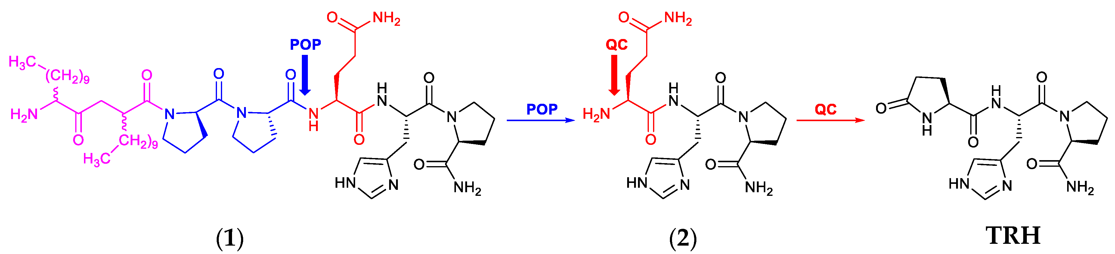Pharmaceutics 11 00349 sch001 Pharmaceutics 11 00349 sch001