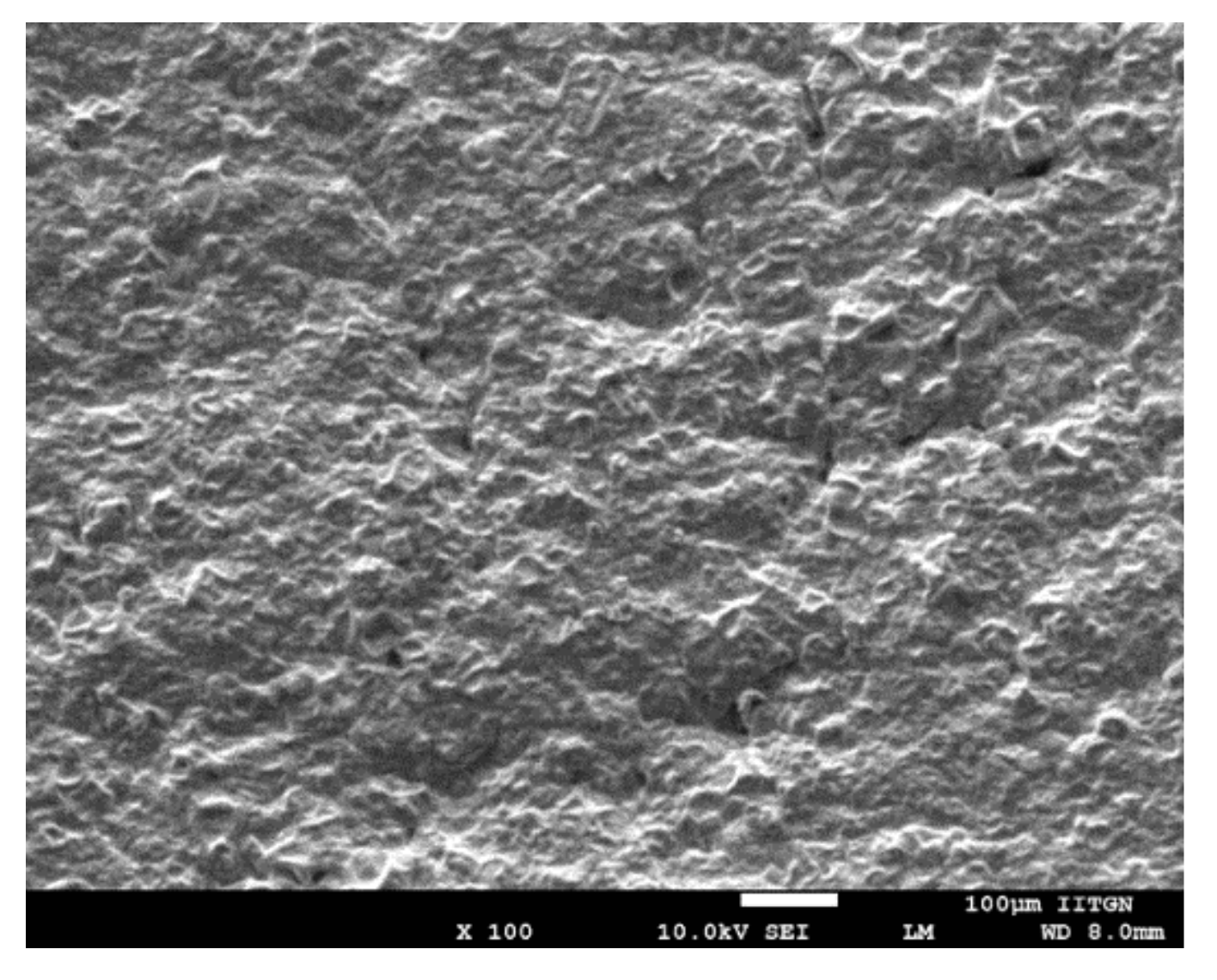 Pharmaceutics 11 00359 g004 Pharmaceutics 11 00359 g004