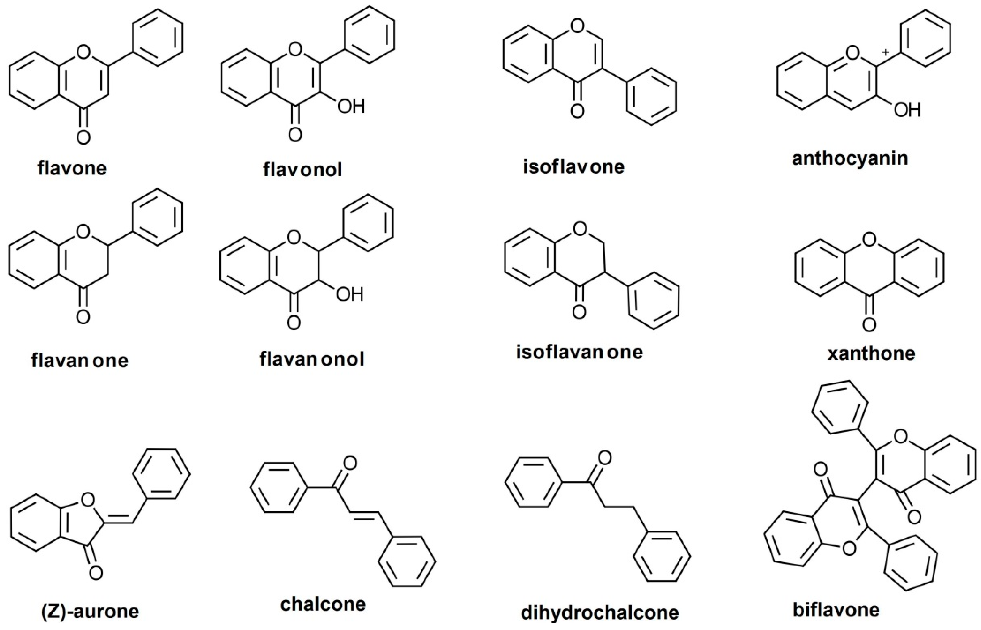 Pharmaceutics 11 00370 g001