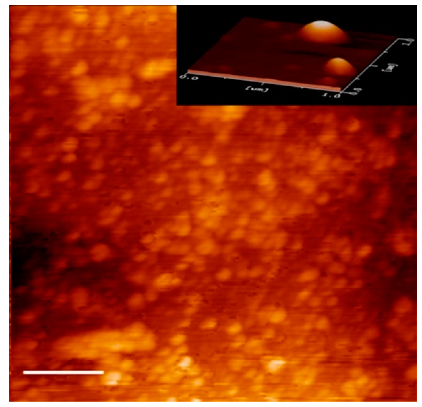 Pharmaceutics 11 00389 g001 Pharmaceutics 11 00389 g001