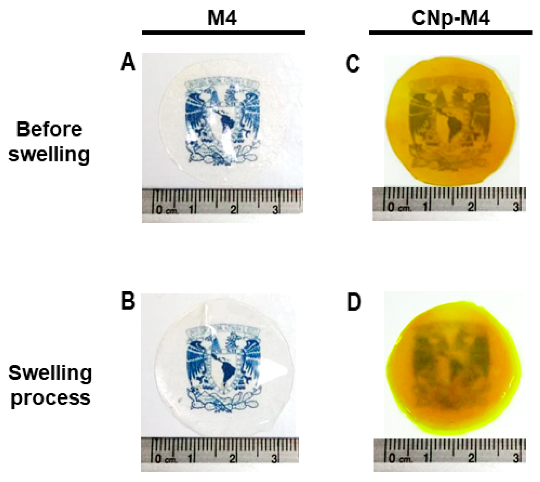 Pharmaceutics 11 00389 g006 Pharmaceutics 11 00389 g006