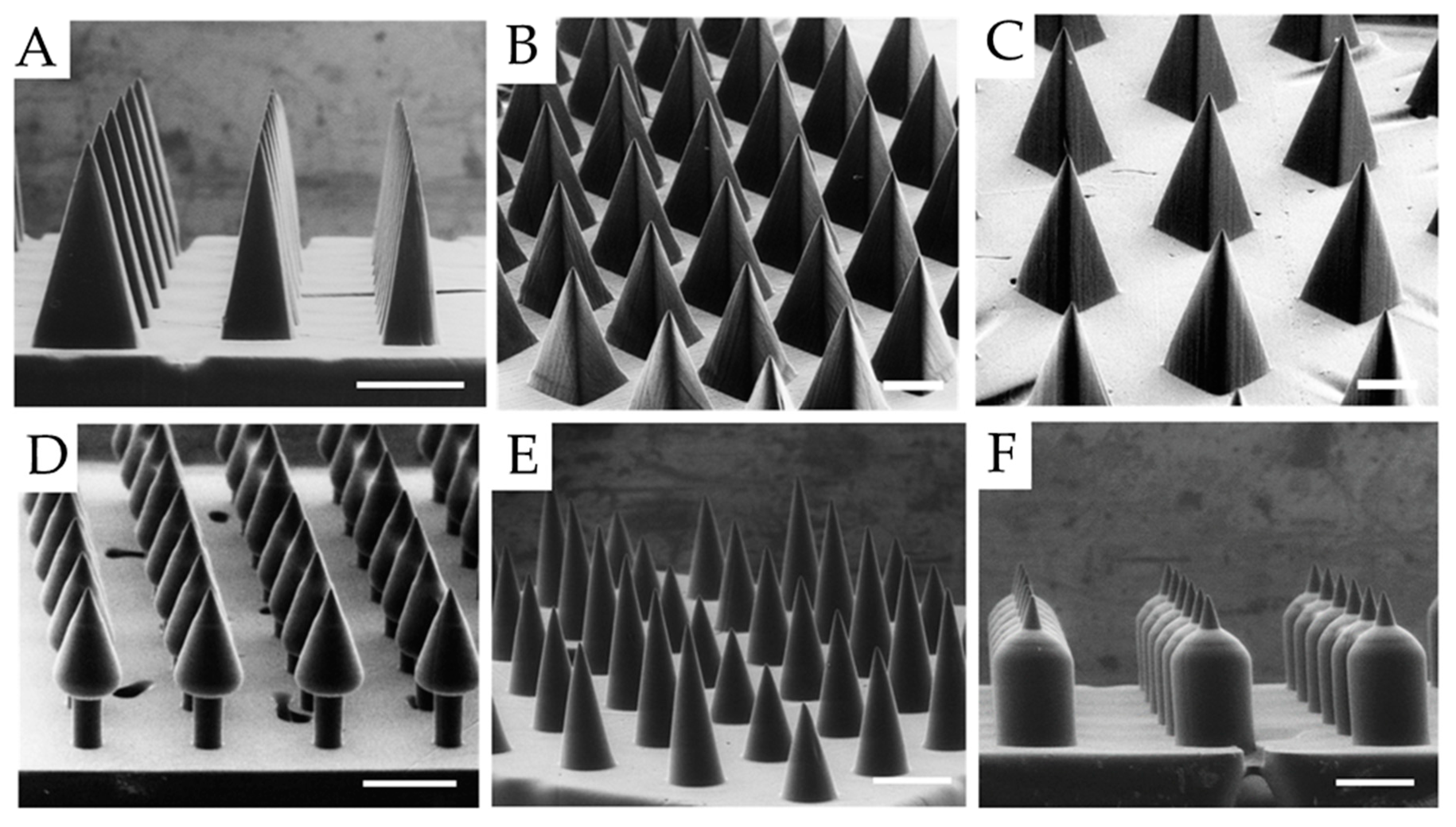 Pharmaceutics 11 00390 g004