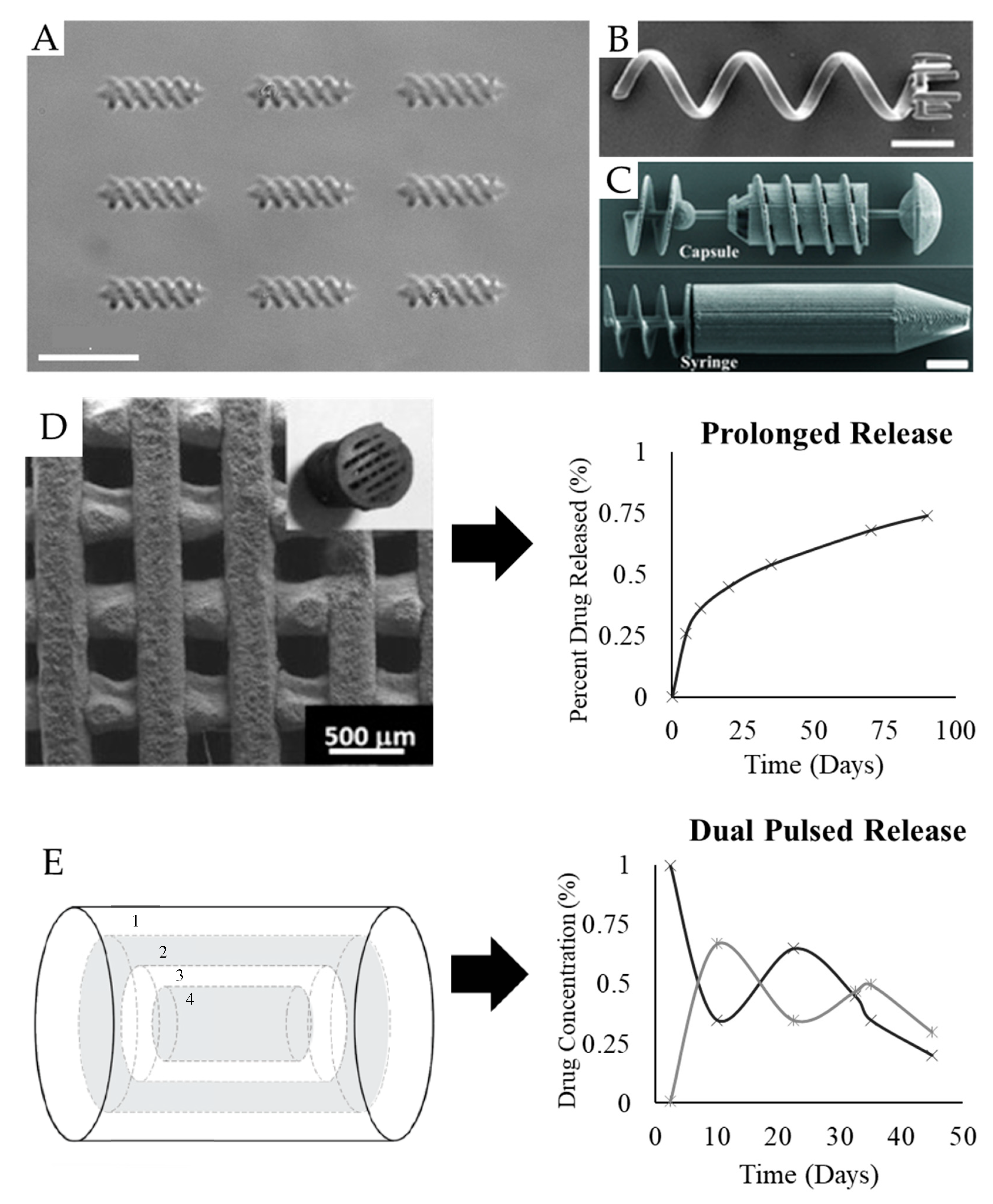 Pharmaceutics 11 00390 g005