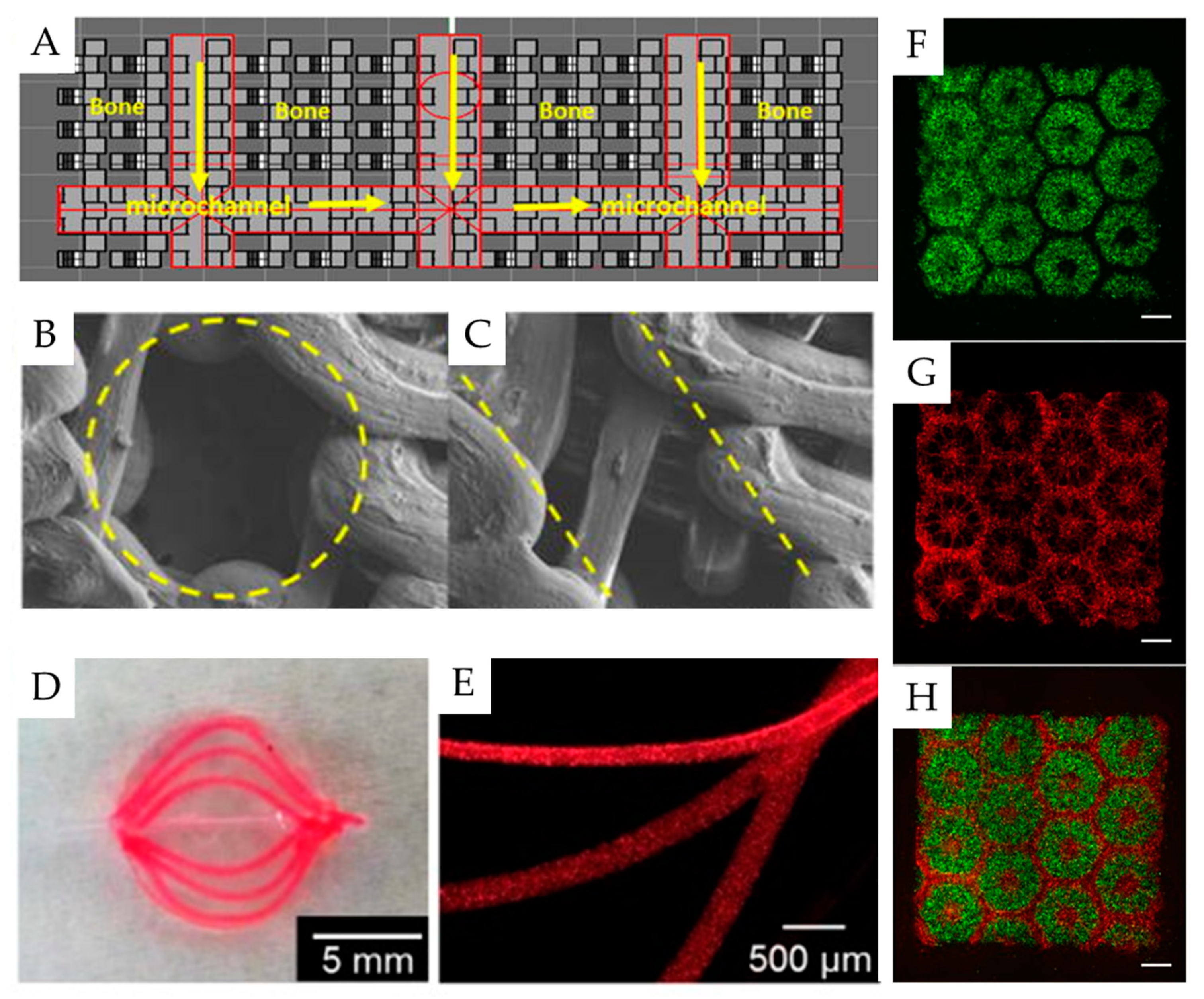 Pharmaceutics 11 00390 g006