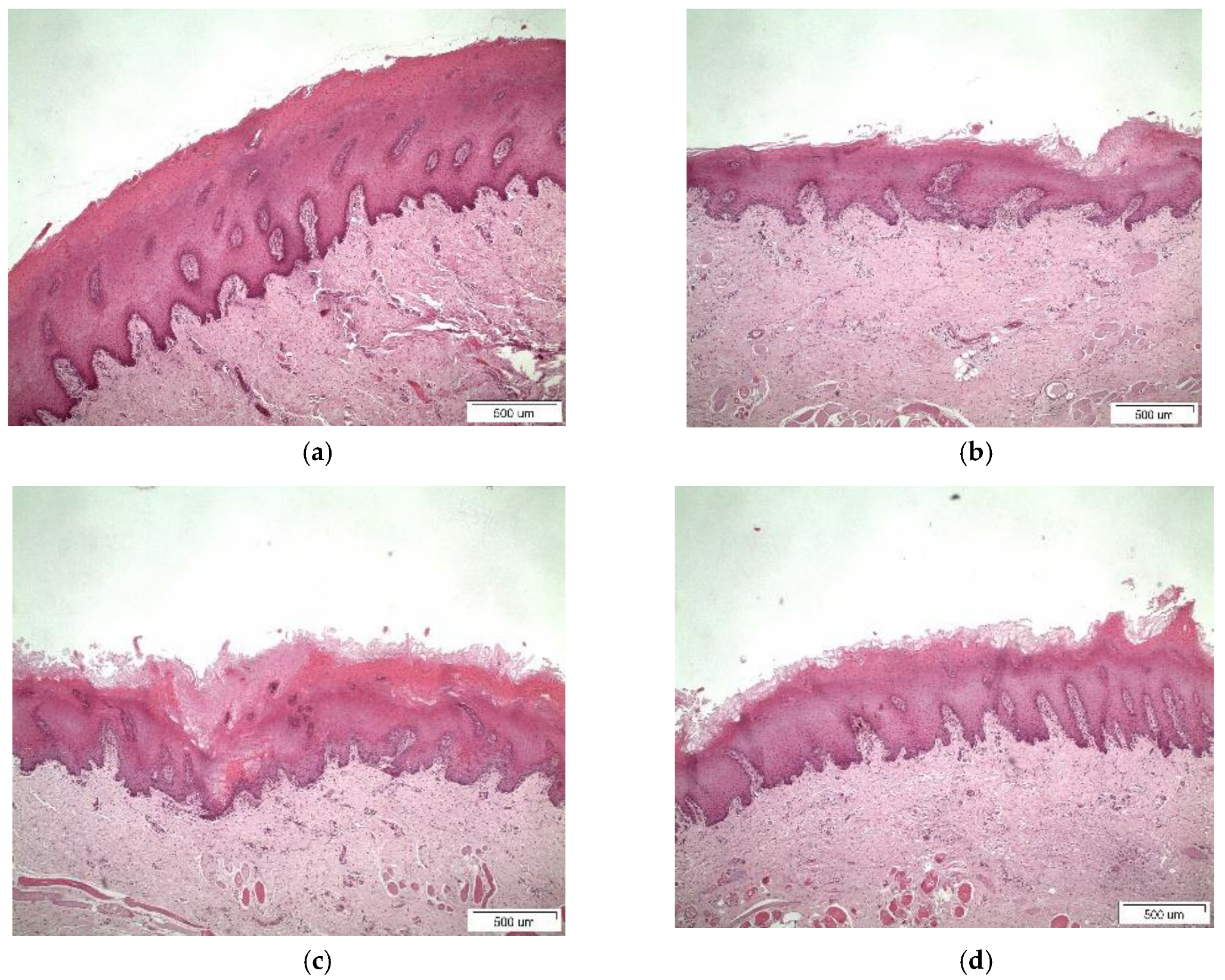 Pharmaceutics 11 00398 g008