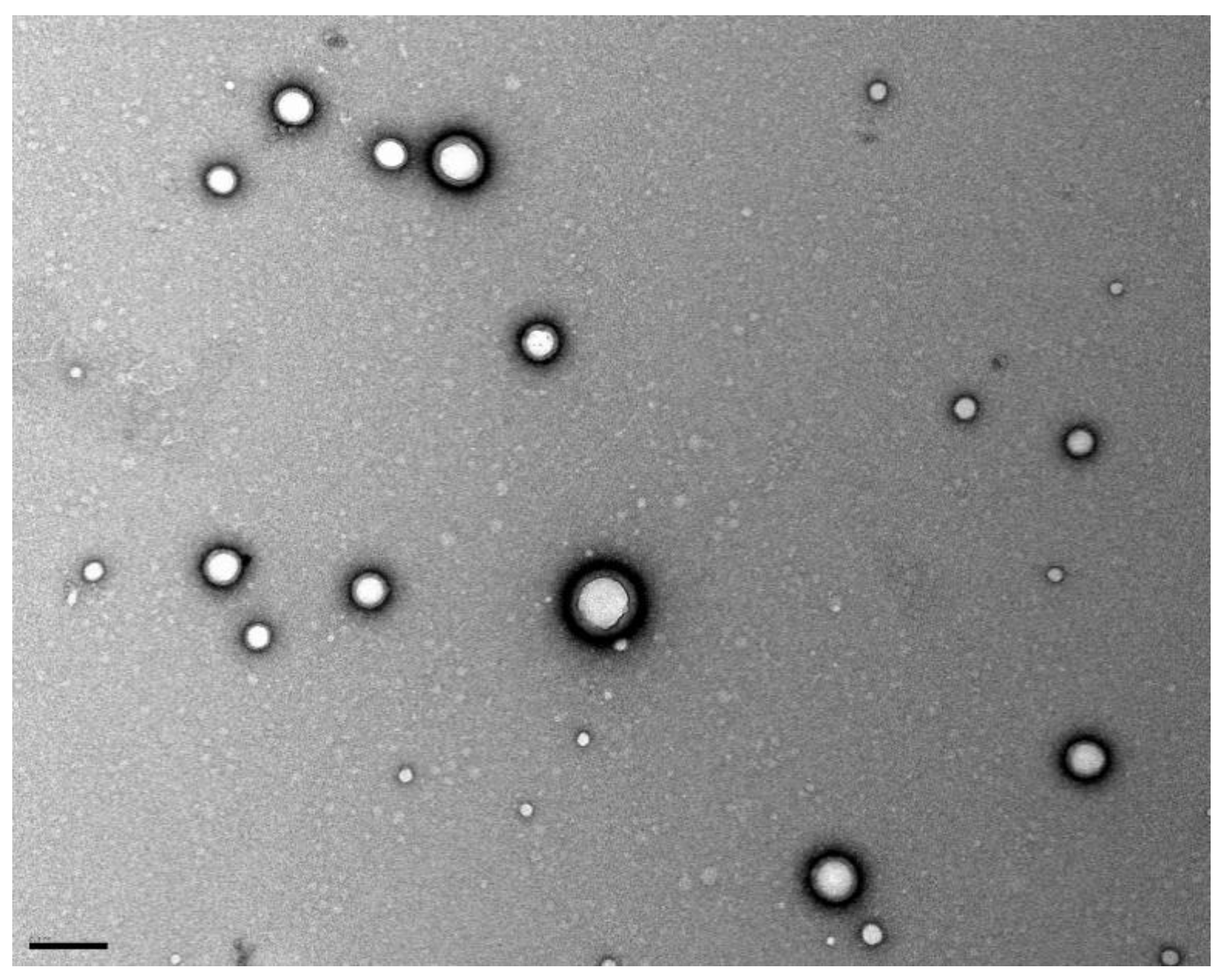 Pharmaceutics 11 00401 g008