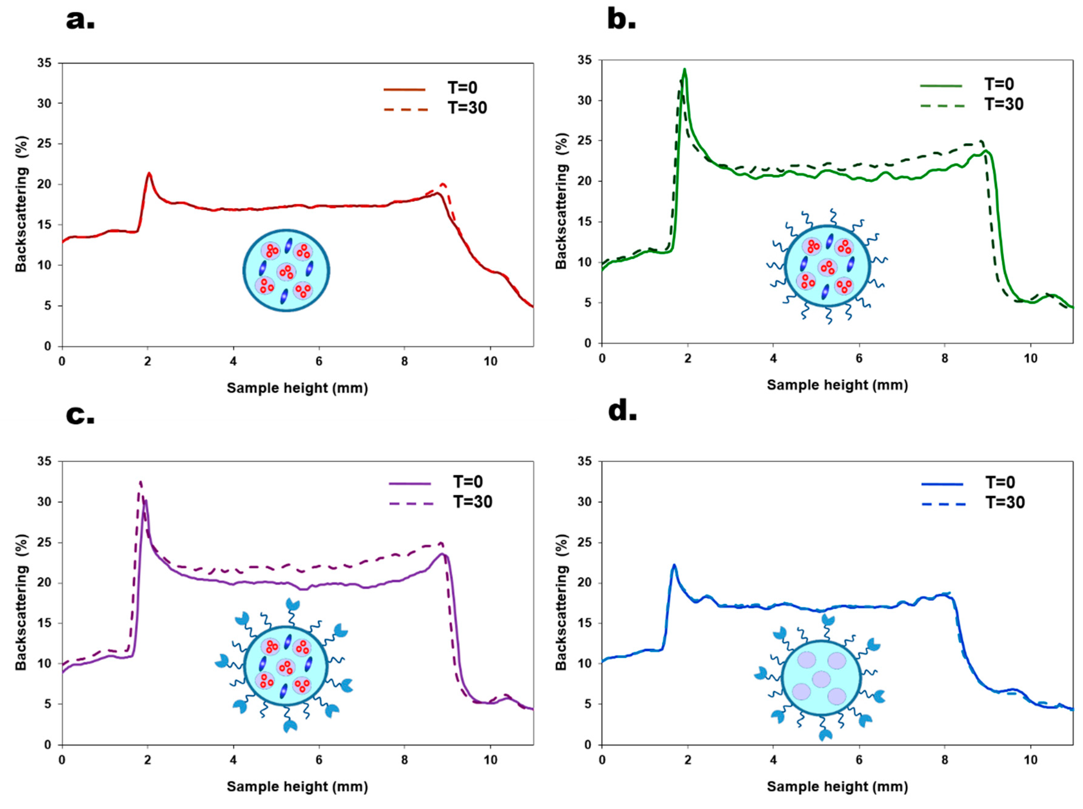 Pharmaceutics 11 00405 g003 Pharmaceutics 11 00405 g003