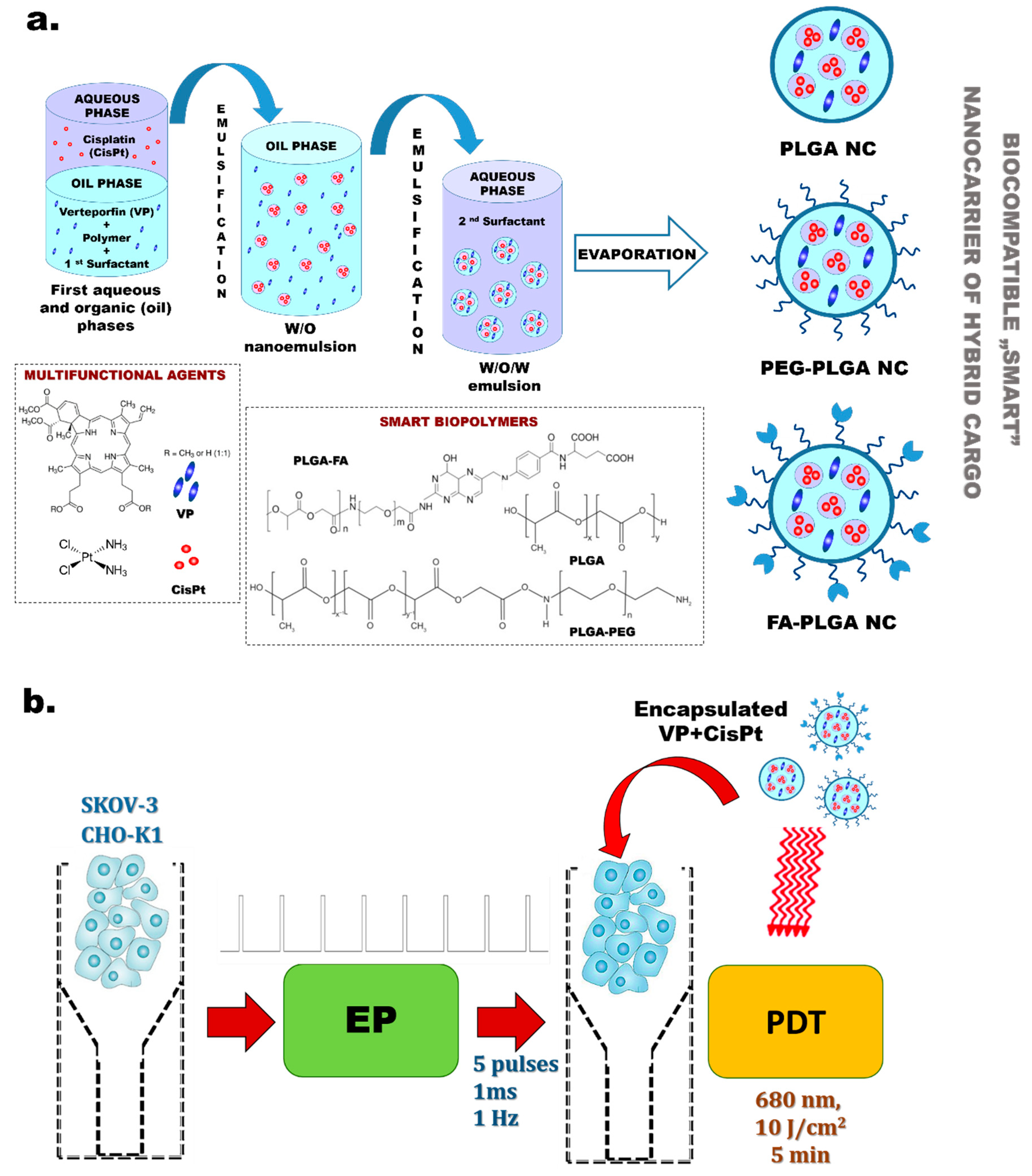 Pharmaceutics 11 00405 sch001 Pharmaceutics 11 00405 sch001