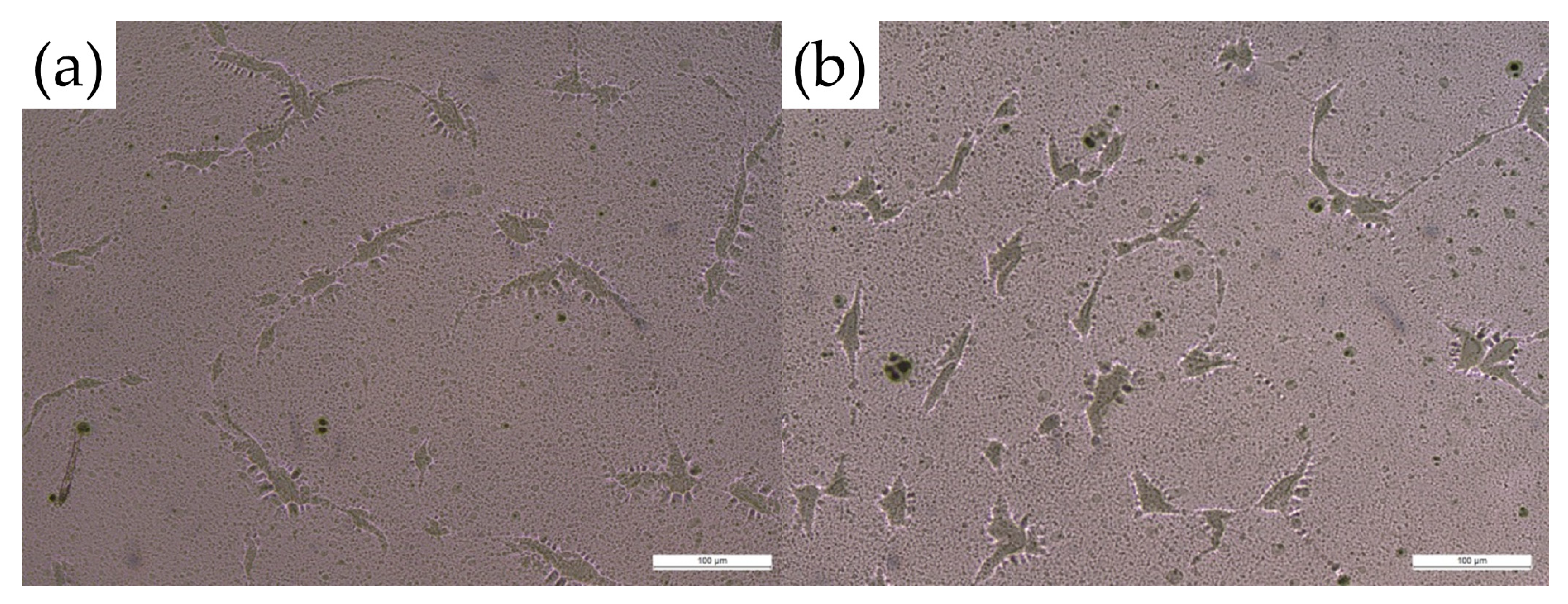 Pharmaceutics 11 00409 g001 Pharmaceutics 11 00409 g001