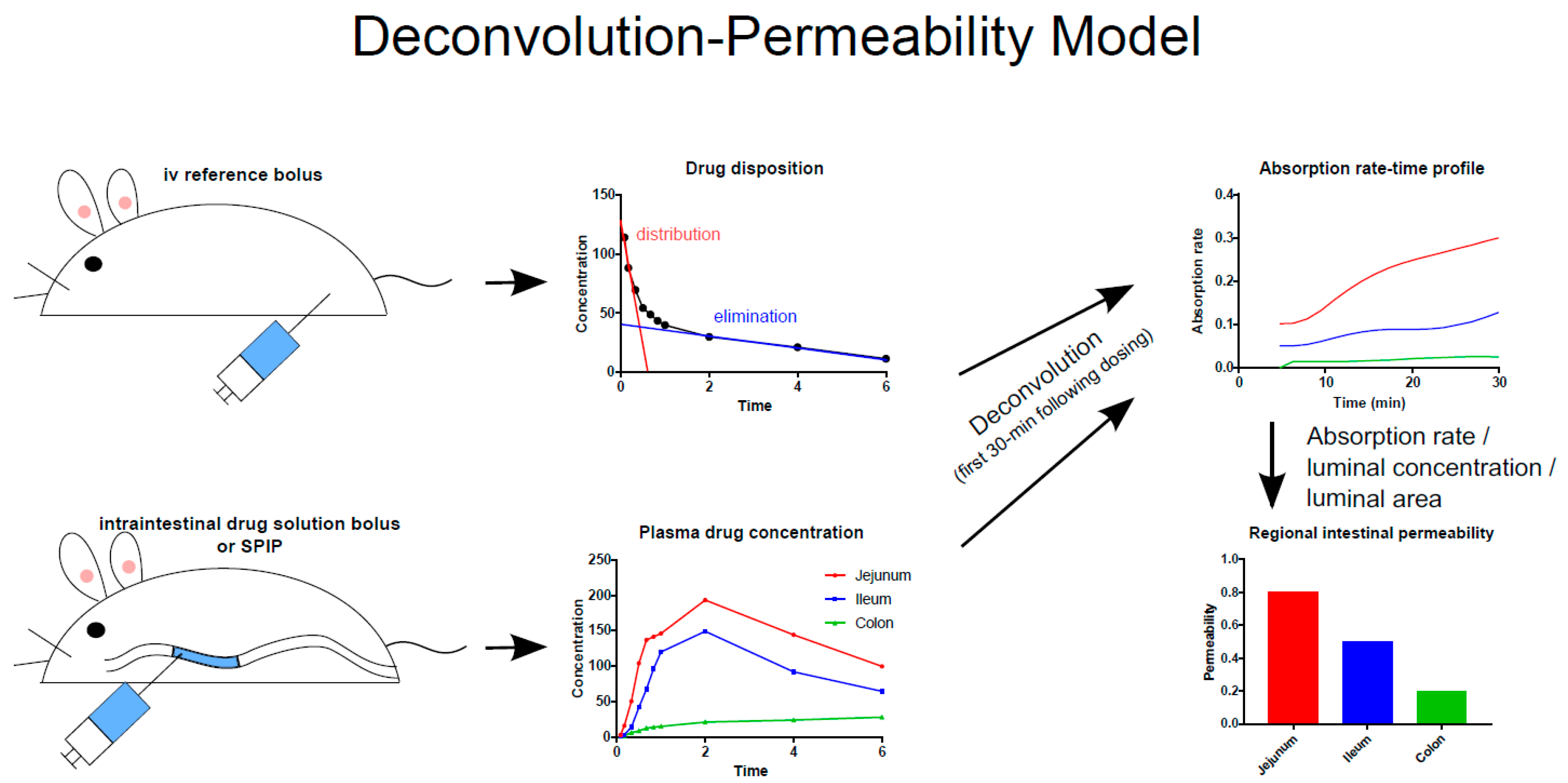 Pharmaceutics 11 00411 g002