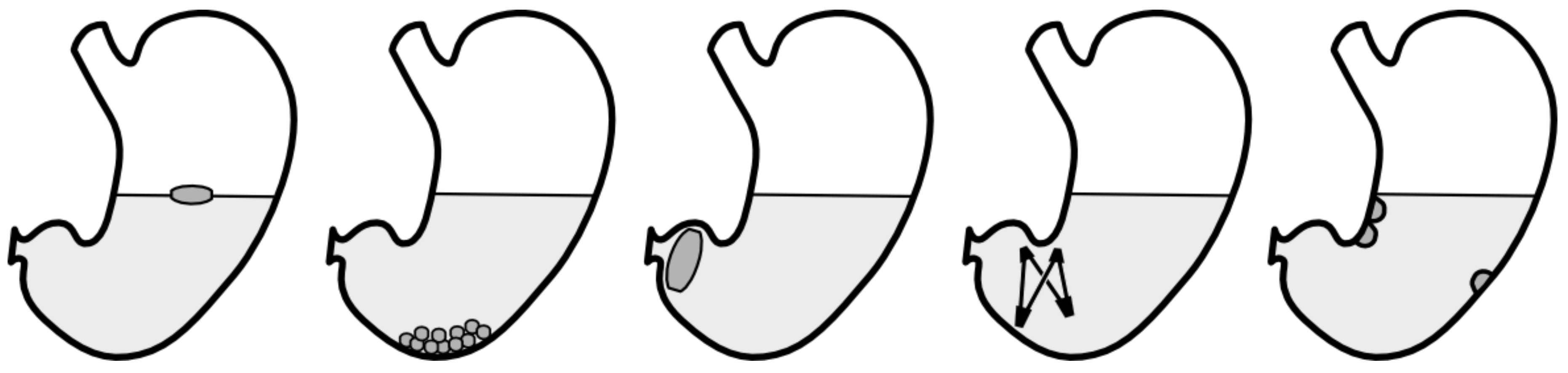 Pharmaceutics 11 00416 g004