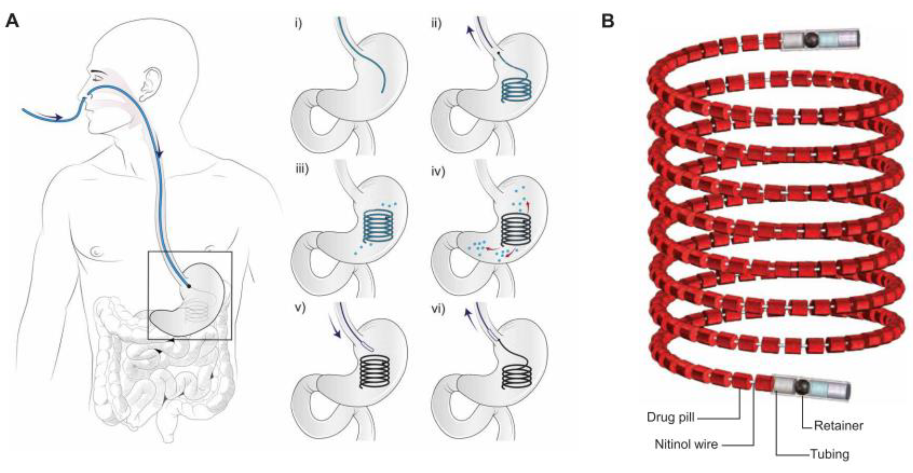 Pharmaceutics 11 00416 g005