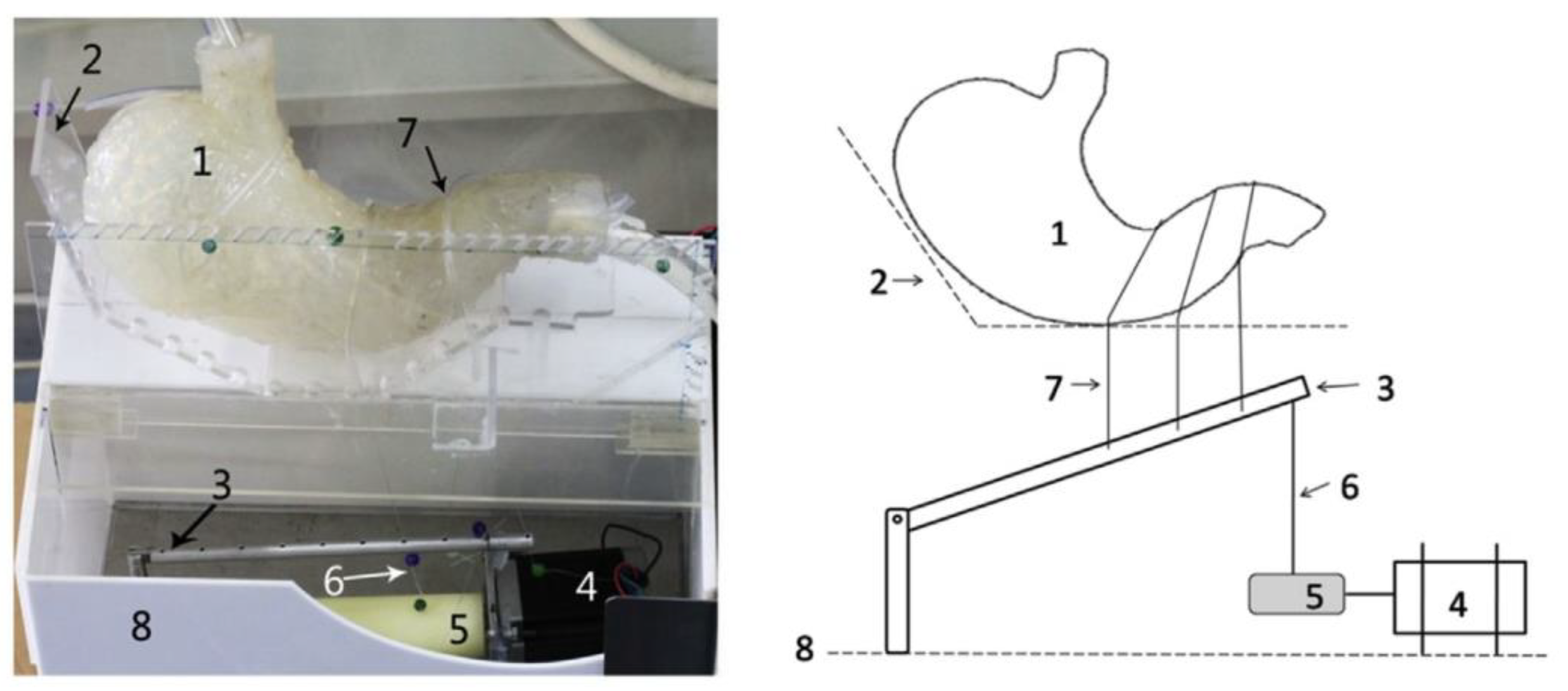 Pharmaceutics 11 00416 g013
