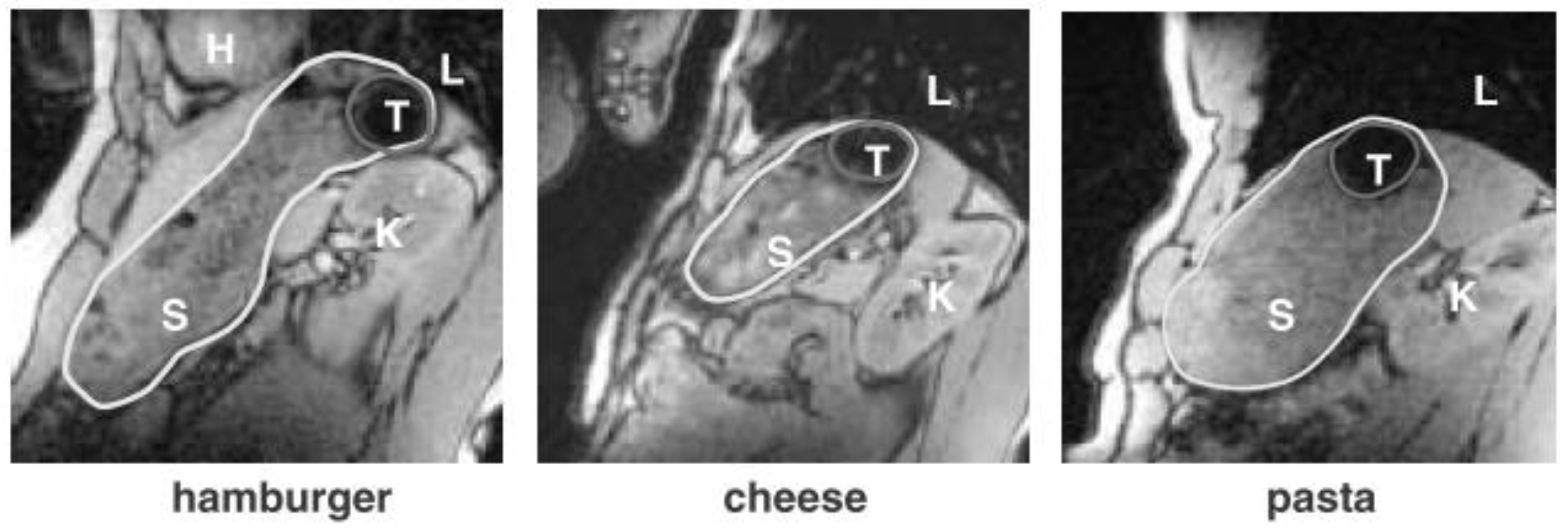 Pharmaceutics 11 00416 g017