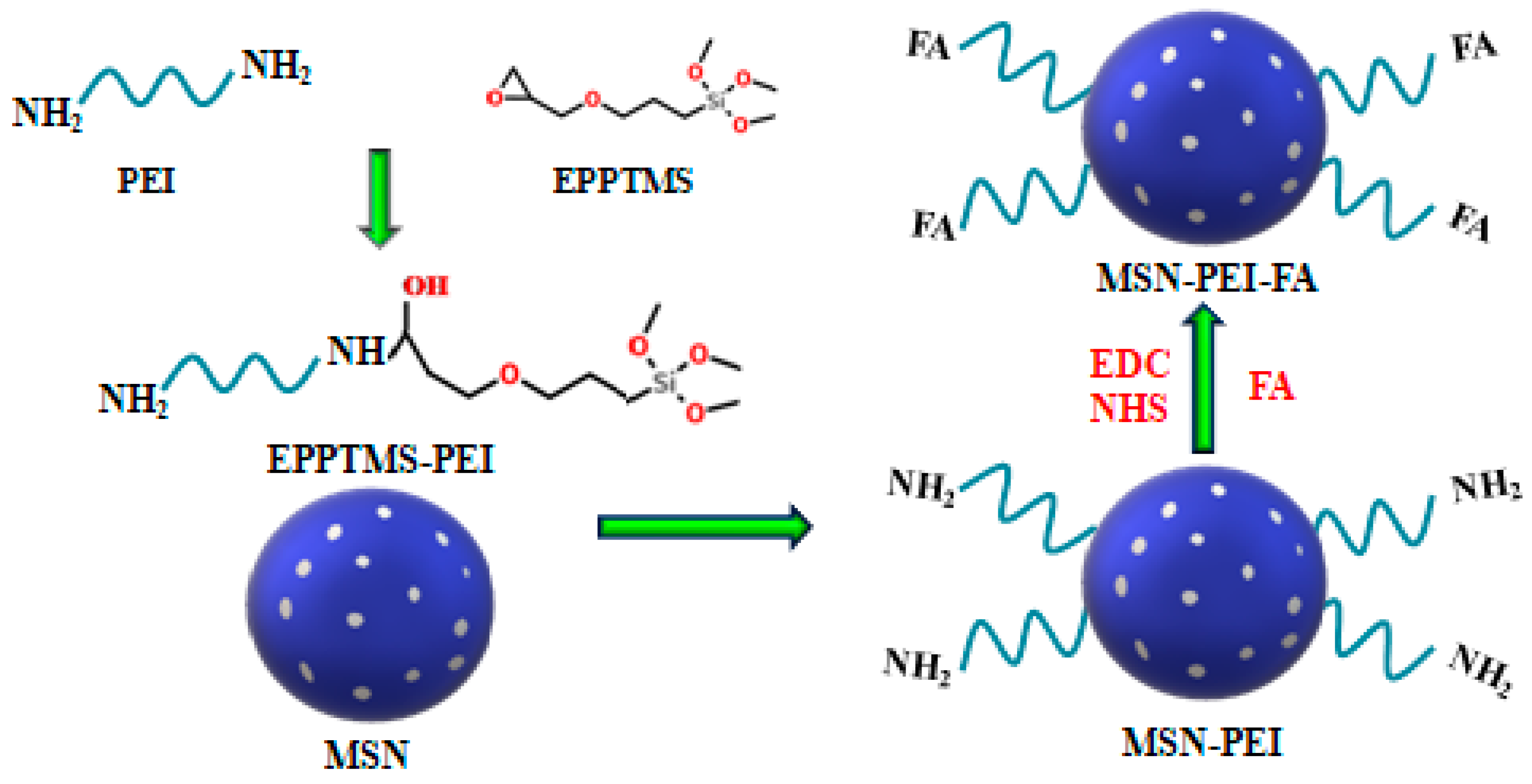 Pharmaceutics 11 00430 g001