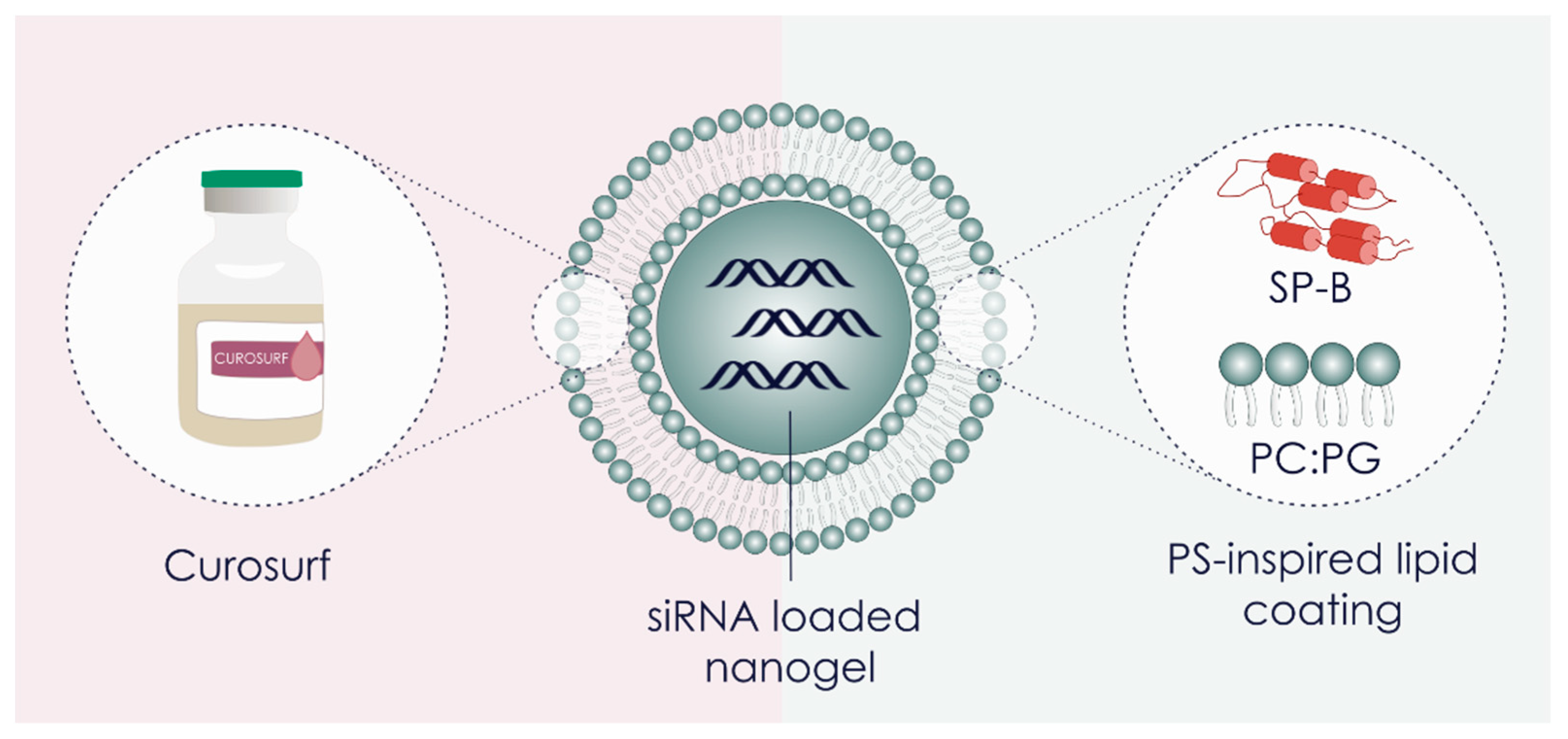 Pharmaceutics 11 00431 g001 Pharmaceutics 11 00431 g001