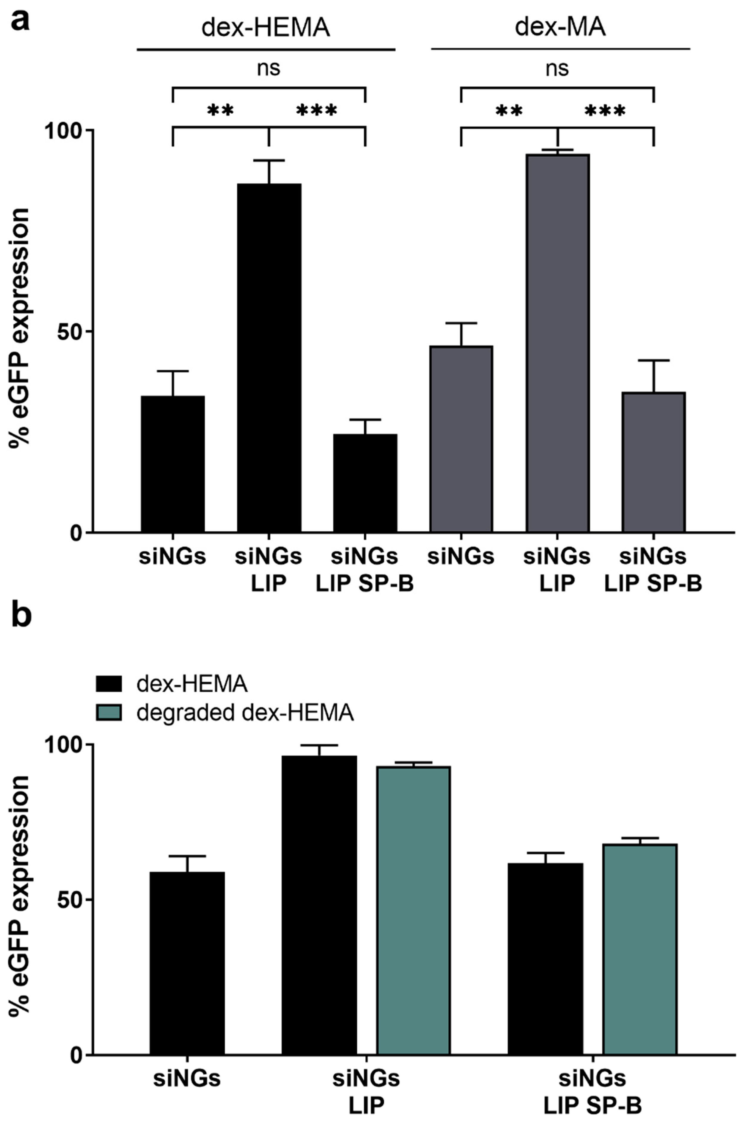 Pharmaceutics 11 00431 g006 Pharmaceutics 11 00431 g006