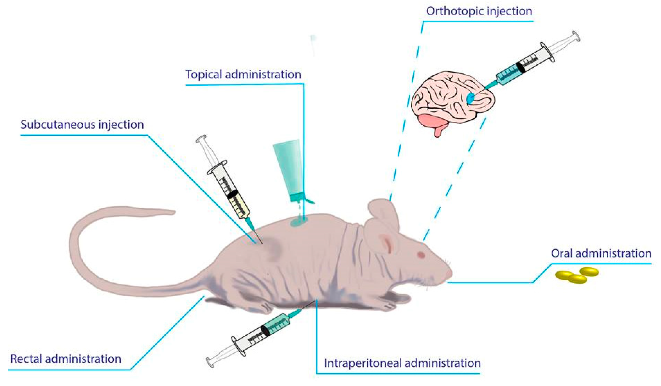 Pharmaceutics 11 00432 g003