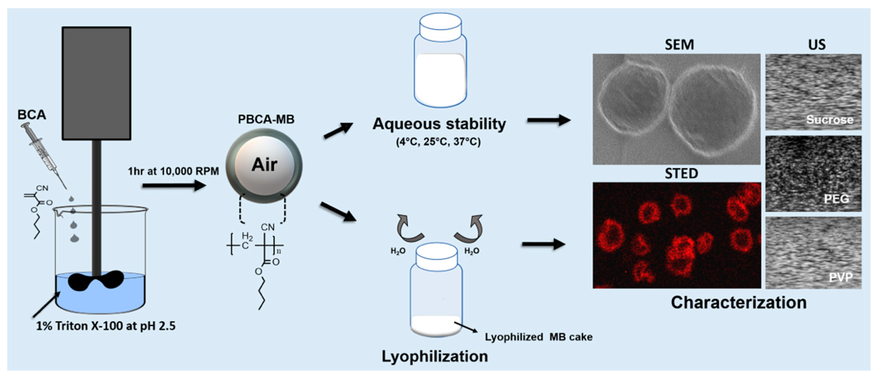 Pharmaceutics 11 00433 g001