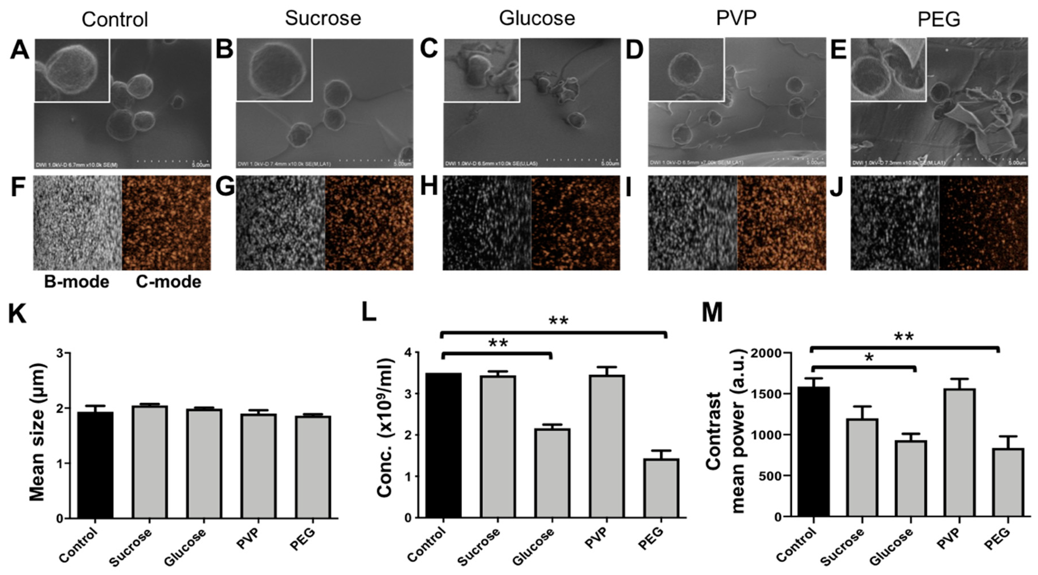 Pharmaceutics 11 00433 g004