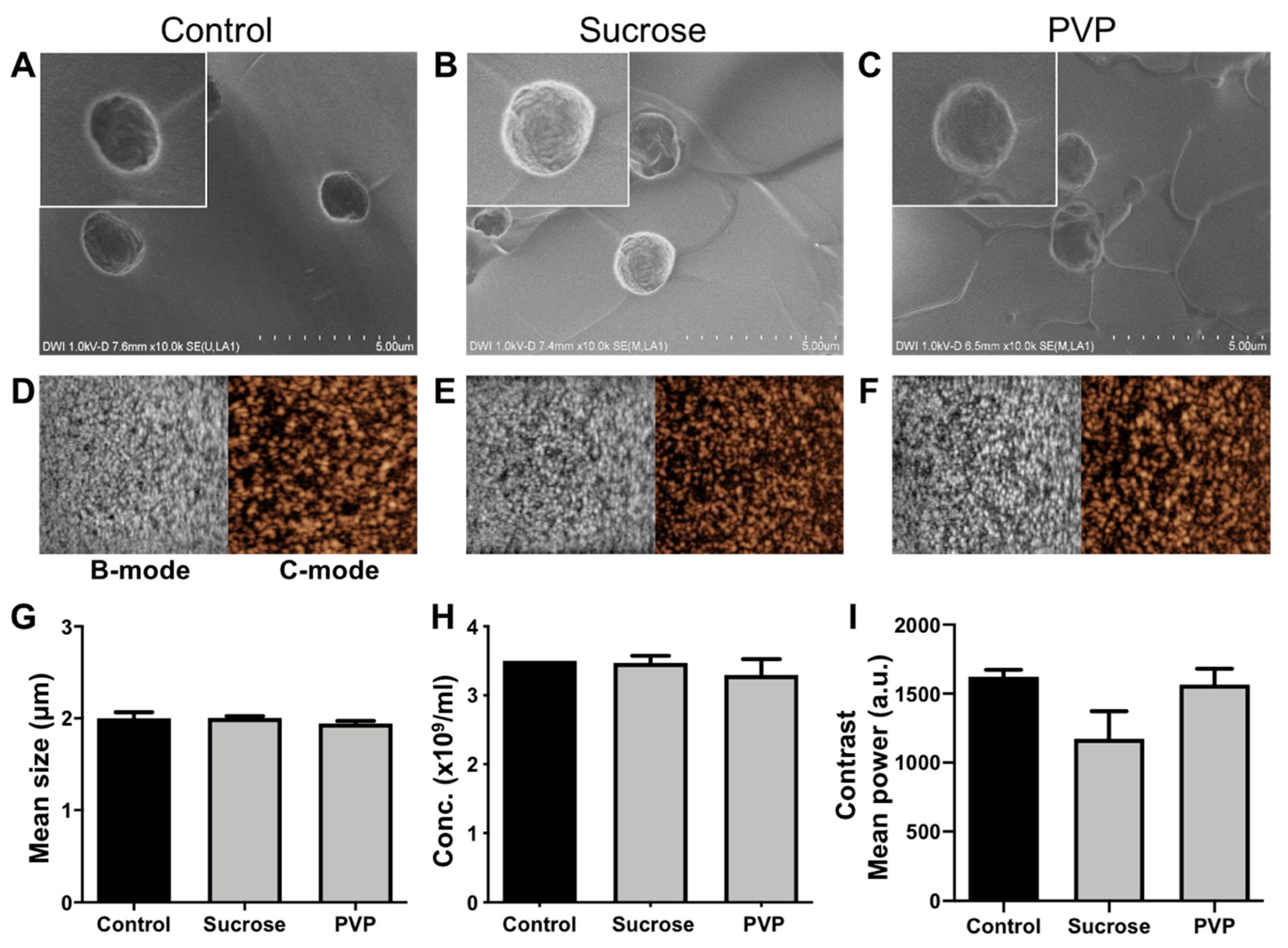 Pharmaceutics 11 00433 g005