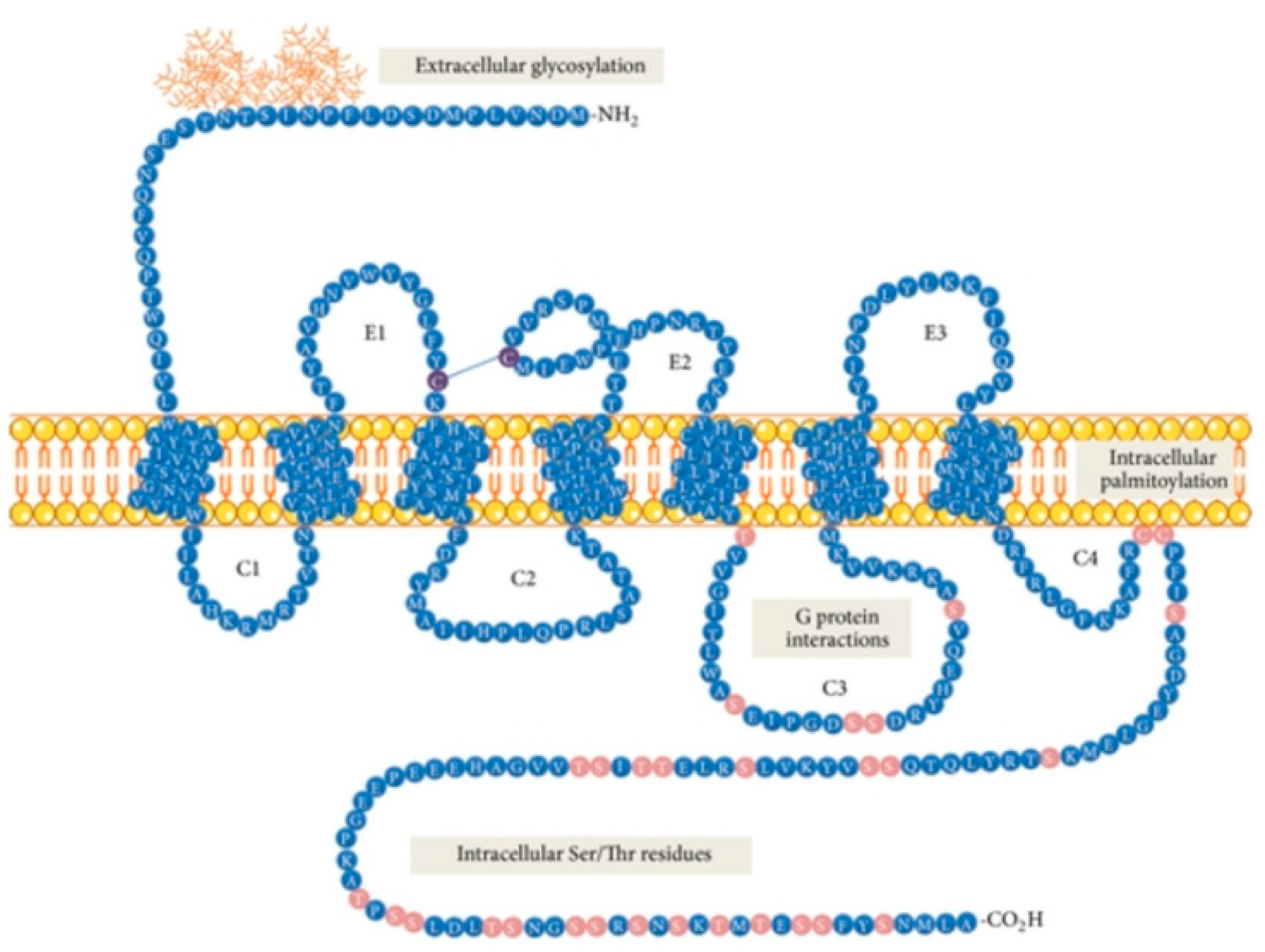 Pharmaceutics 11 00443 g001 Pharmaceutics 11 00443 g001