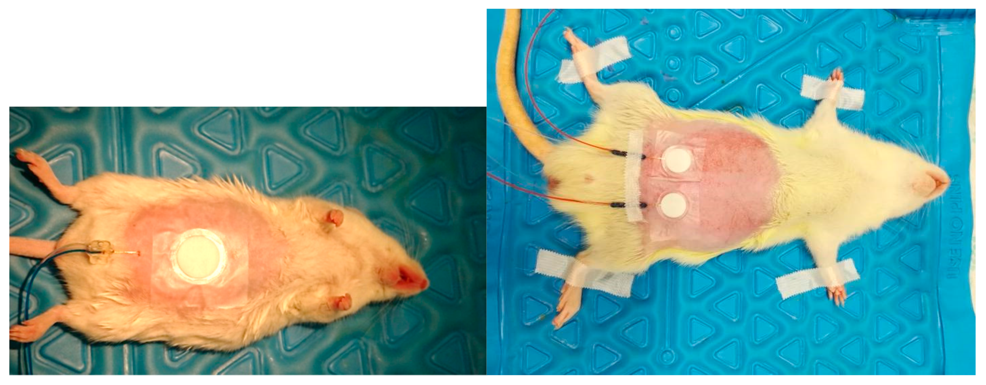 Pharmaceutics 11 00445 g001 Pharmaceutics 11 00445 g001