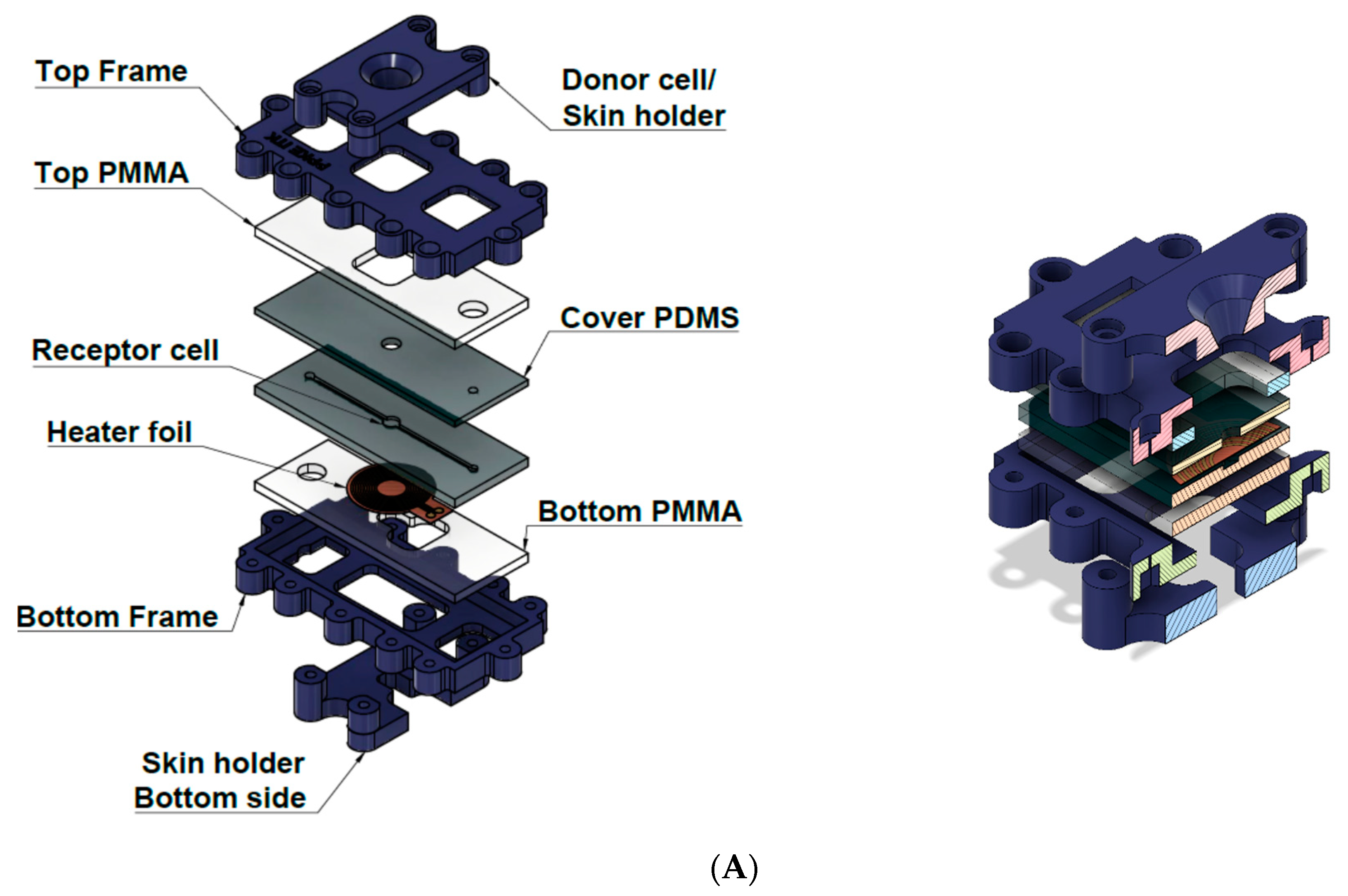 Pharmaceutics 11 00445 g002a Pharmaceutics 11 00445 g002a