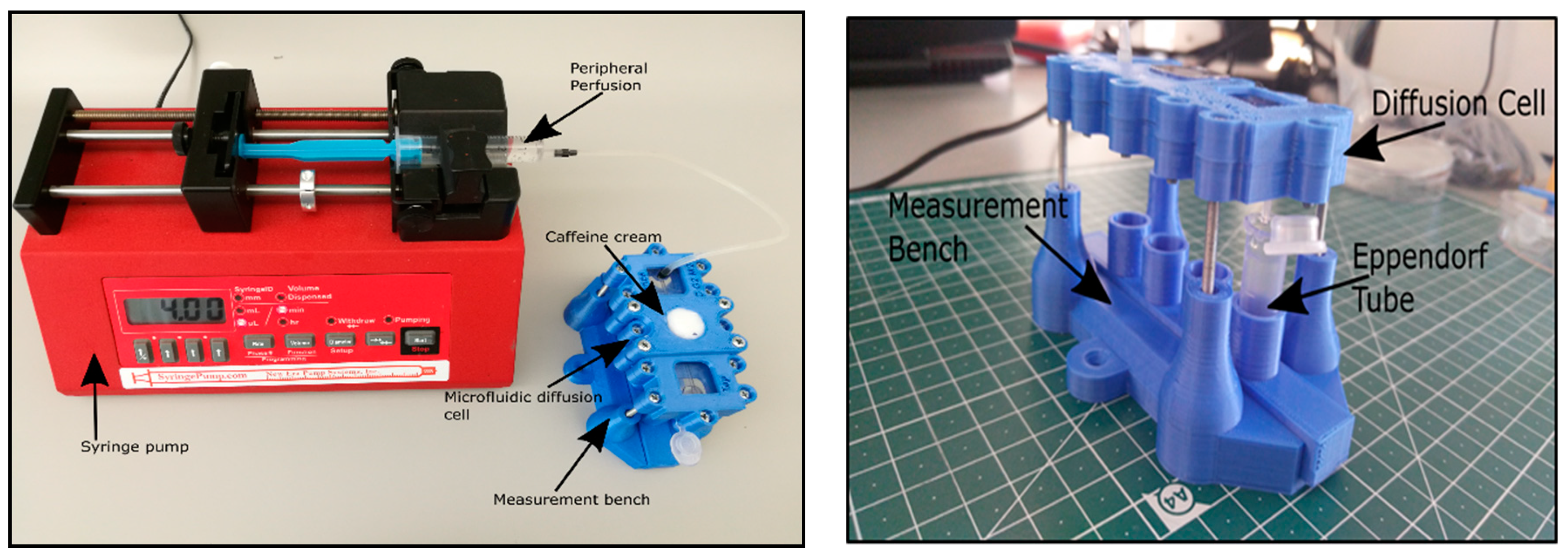Pharmaceutics 11 00445 g003 Pharmaceutics 11 00445 g003