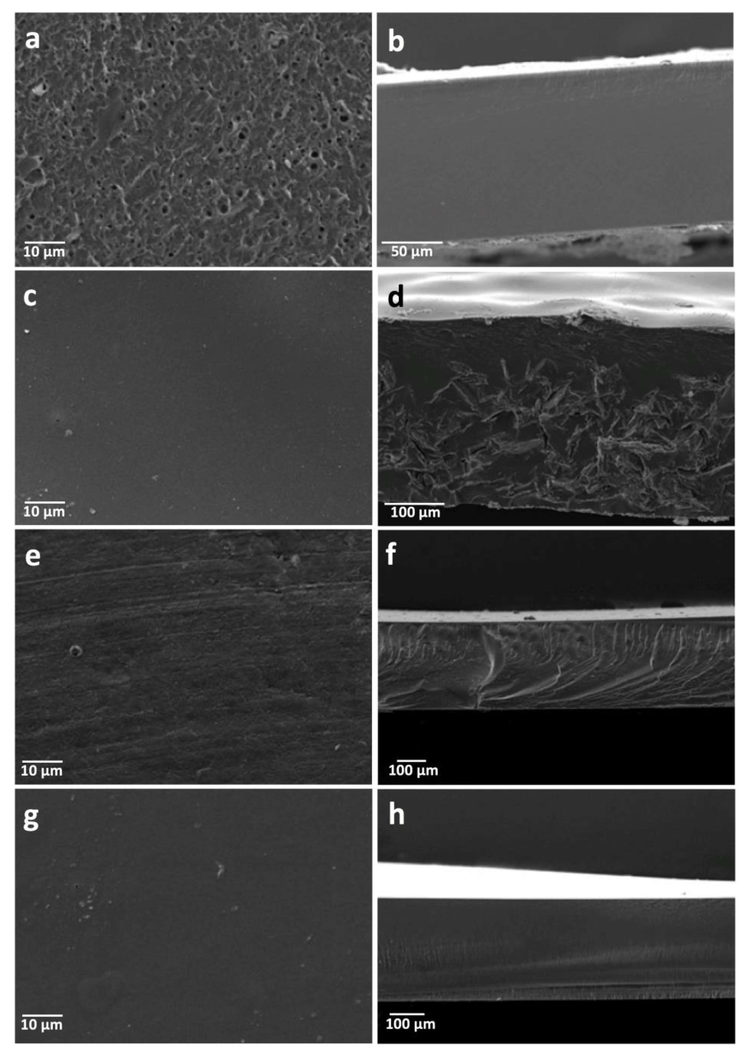 Pharmaceutics 11 00447 g004