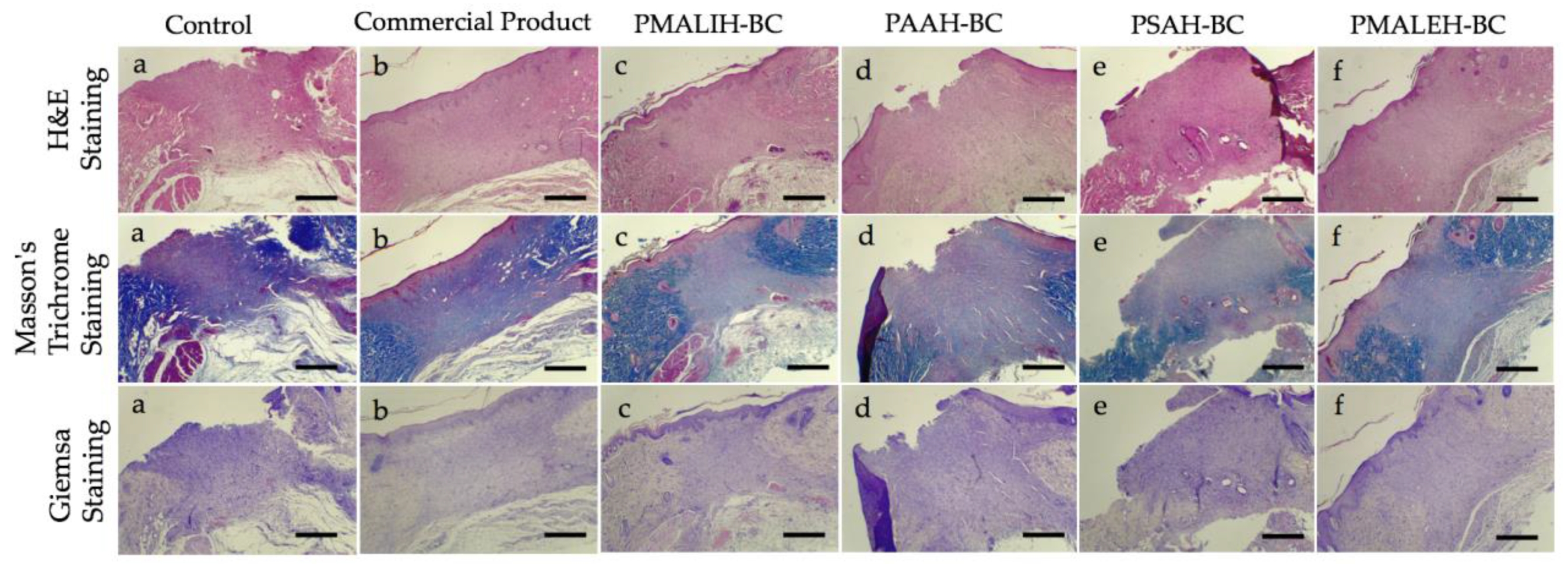 Pharmaceutics 11 00447 g006