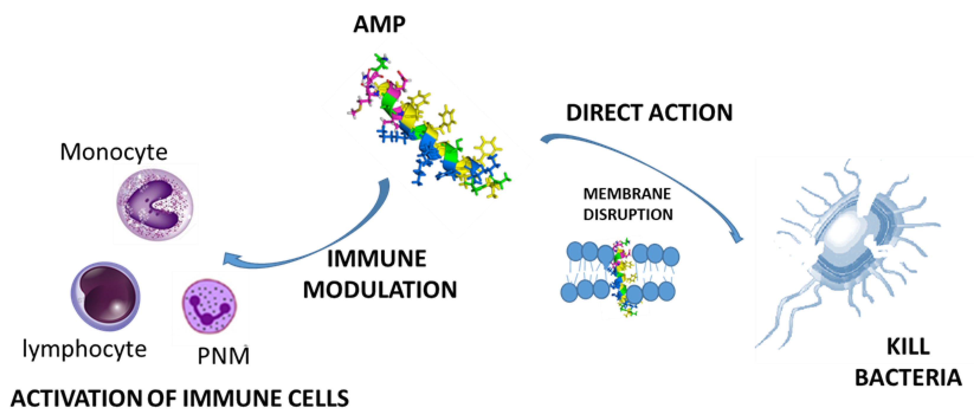 Pharmaceutics 11 00448 g001 Pharmaceutics 11 00448 g001